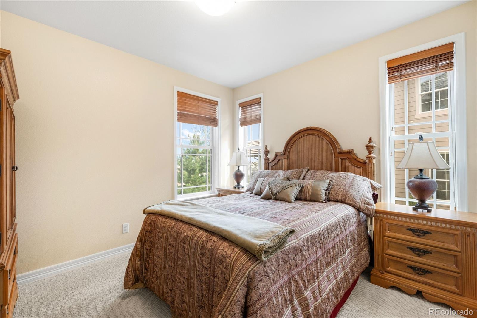 MLS Image #17 for 10777  sundial rim road,highlands ranch, Colorado