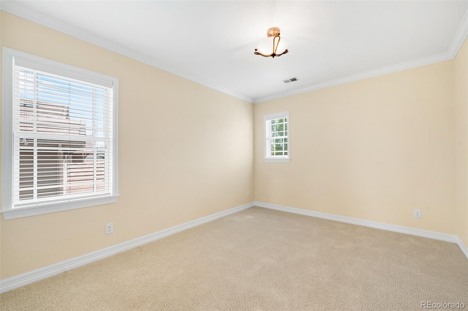 MLS Image #28 for 10777  sundial rim road,highlands ranch, Colorado