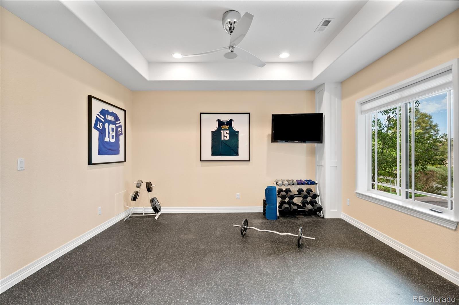 MLS Image #40 for 10777  sundial rim road,highlands ranch, Colorado