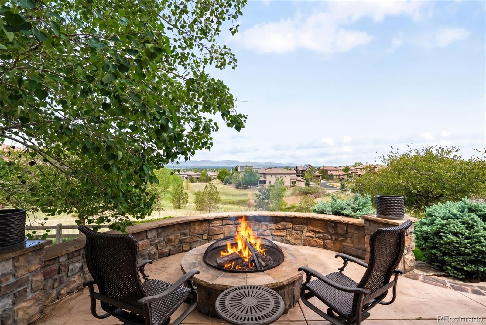 MLS Image #42 for 10777  sundial rim road,highlands ranch, Colorado