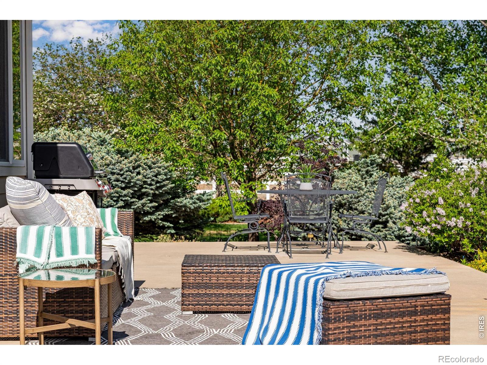 MLS Image #10 for 4406  indigo drive,severance, Colorado