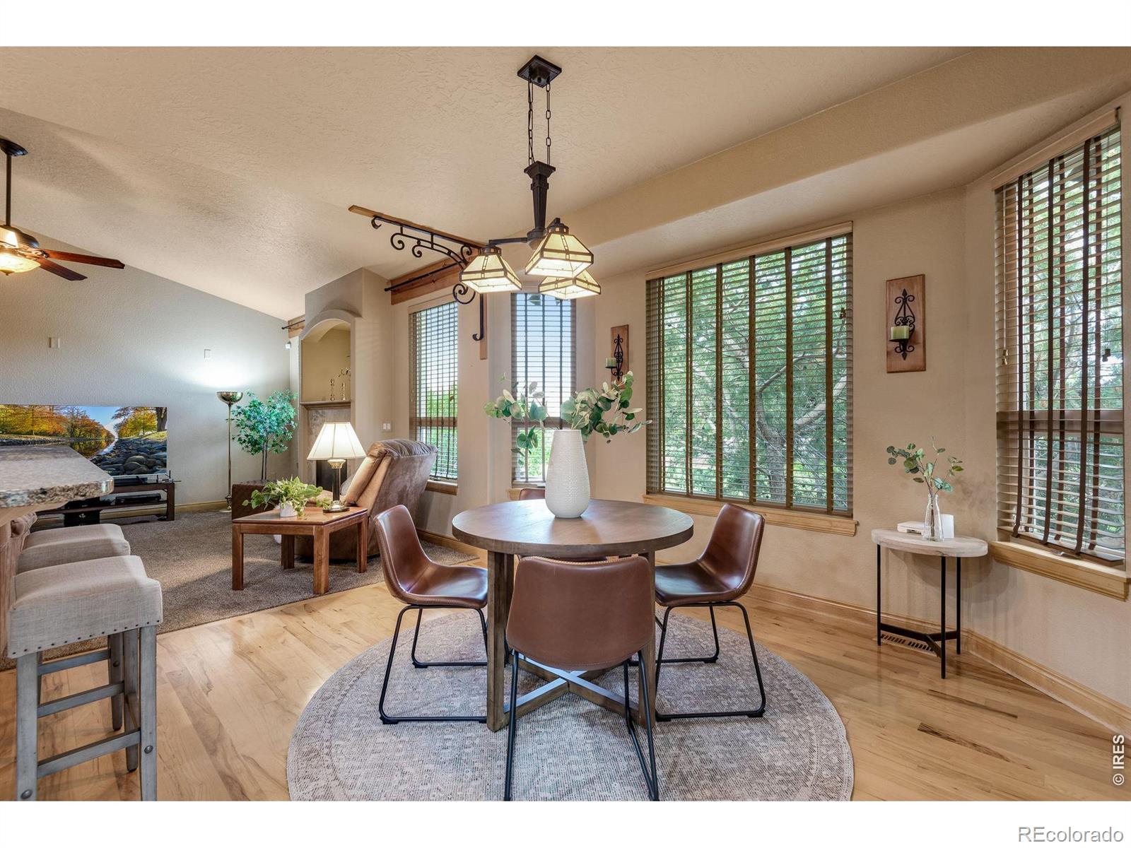 MLS Image #24 for 4406  indigo drive,severance, Colorado