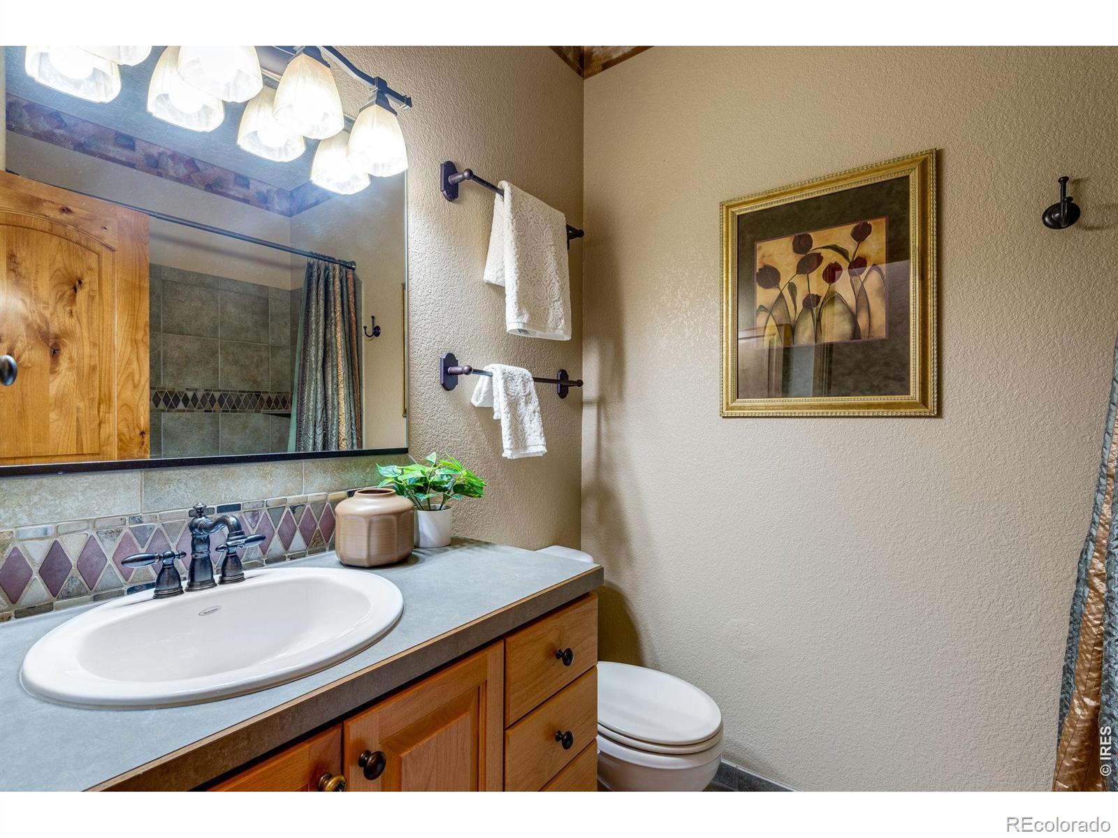 MLS Image #41 for 4406  indigo drive,severance, Colorado