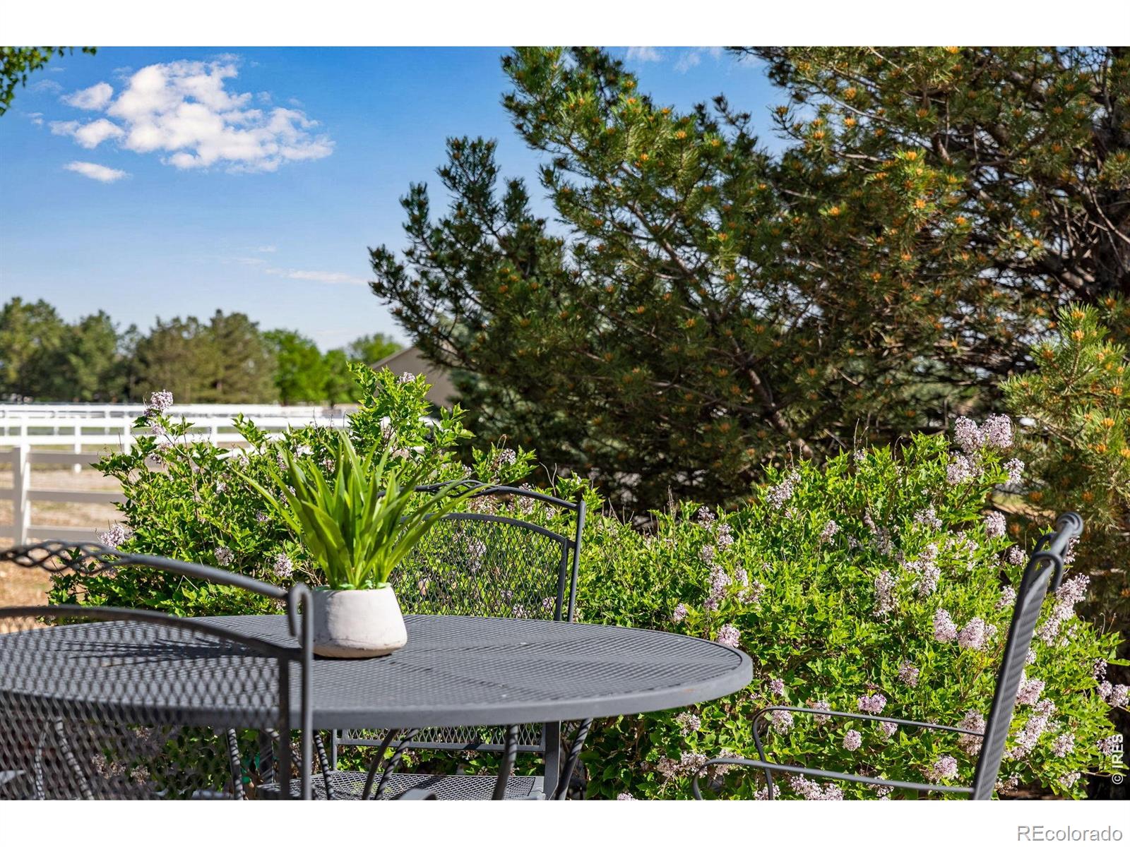 MLS Image #44 for 4406  indigo drive,severance, Colorado