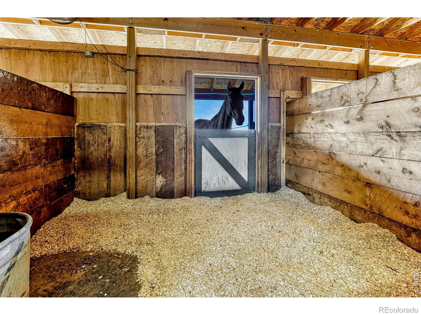 MLS Image #12 for 3101  vantage drive,hudson, Colorado