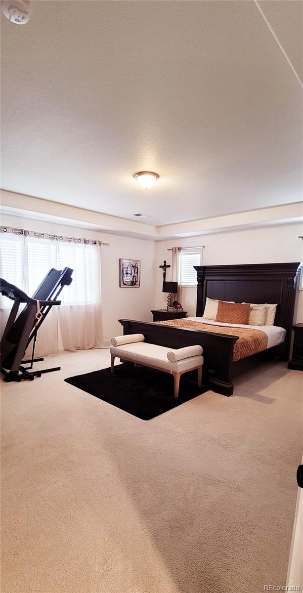 MLS Image #18 for 15957 e 118th place,commerce city, Colorado