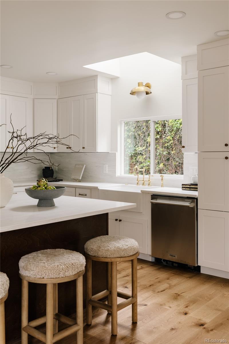 MLS Image #12 for 245  albion street,denver, Colorado
