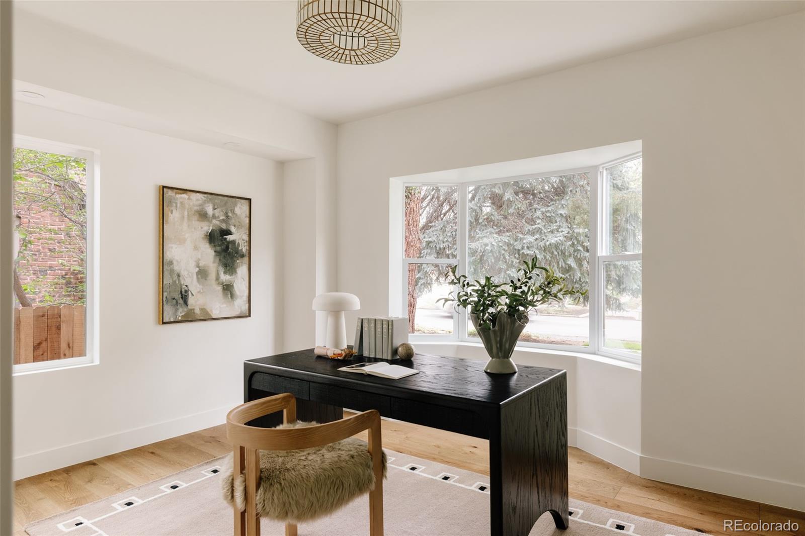 MLS Image #19 for 245  albion street,denver, Colorado
