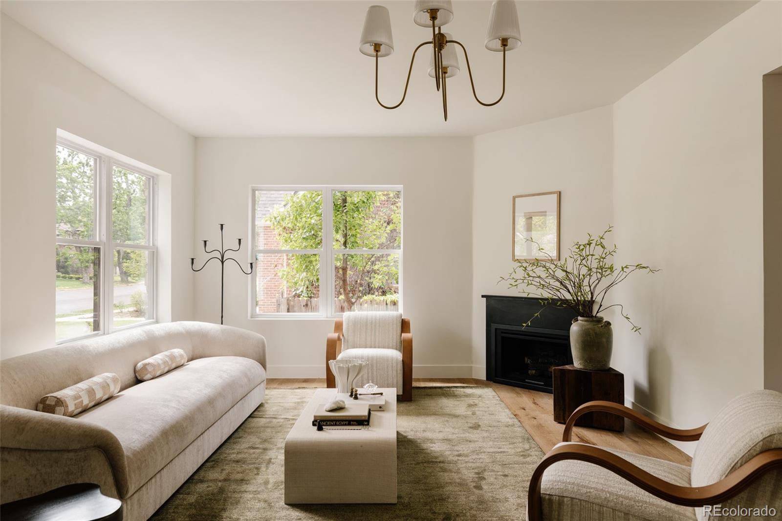 MLS Image #3 for 245  albion street,denver, Colorado