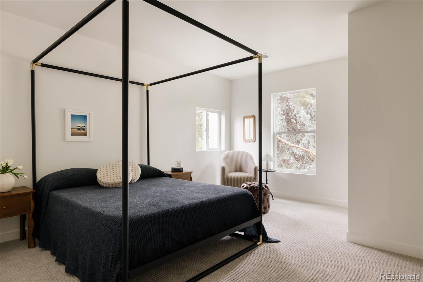 MLS Image #32 for 245  albion street,denver, Colorado
