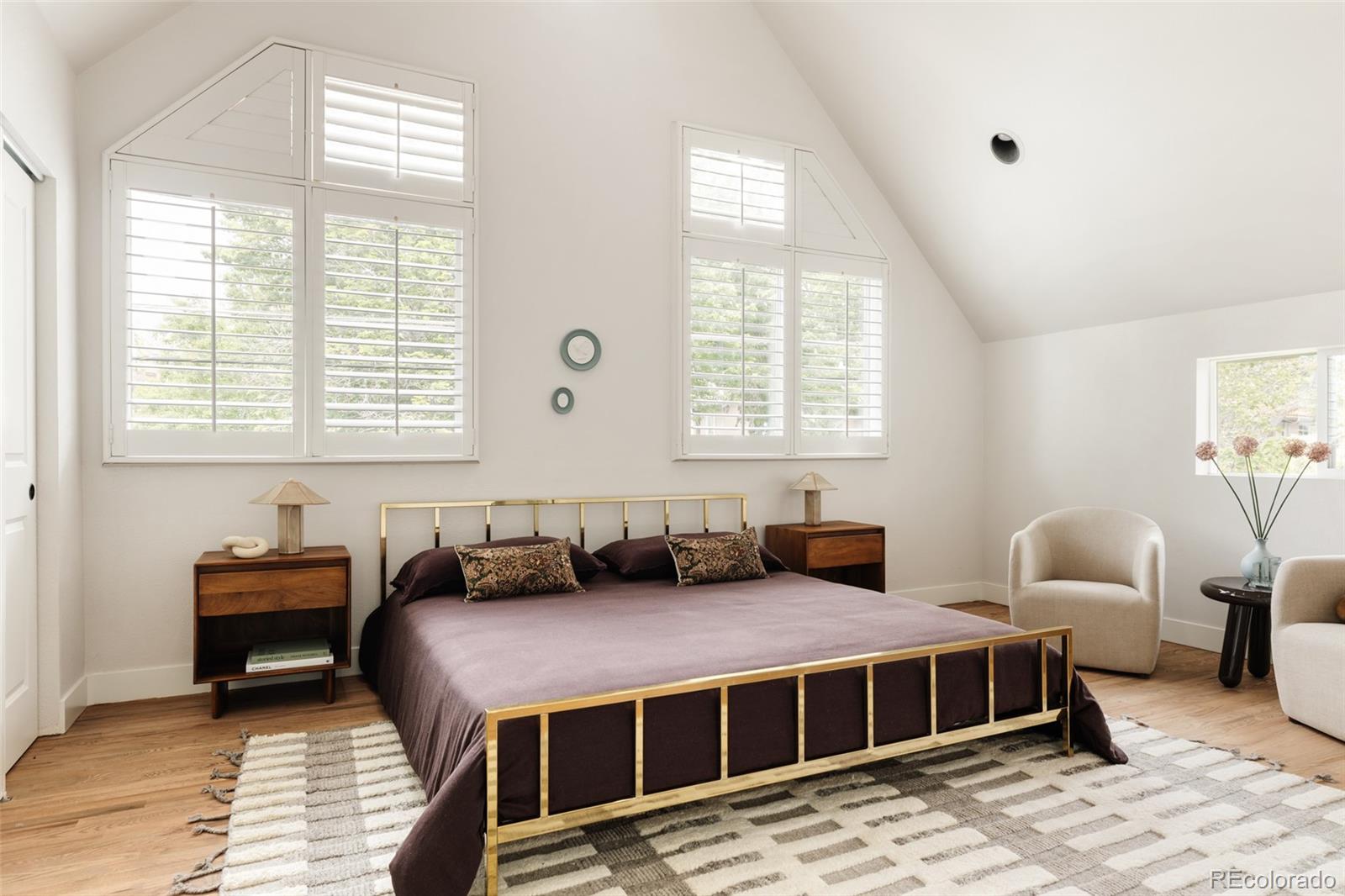 MLS Image #33 for 245  albion street,denver, Colorado
