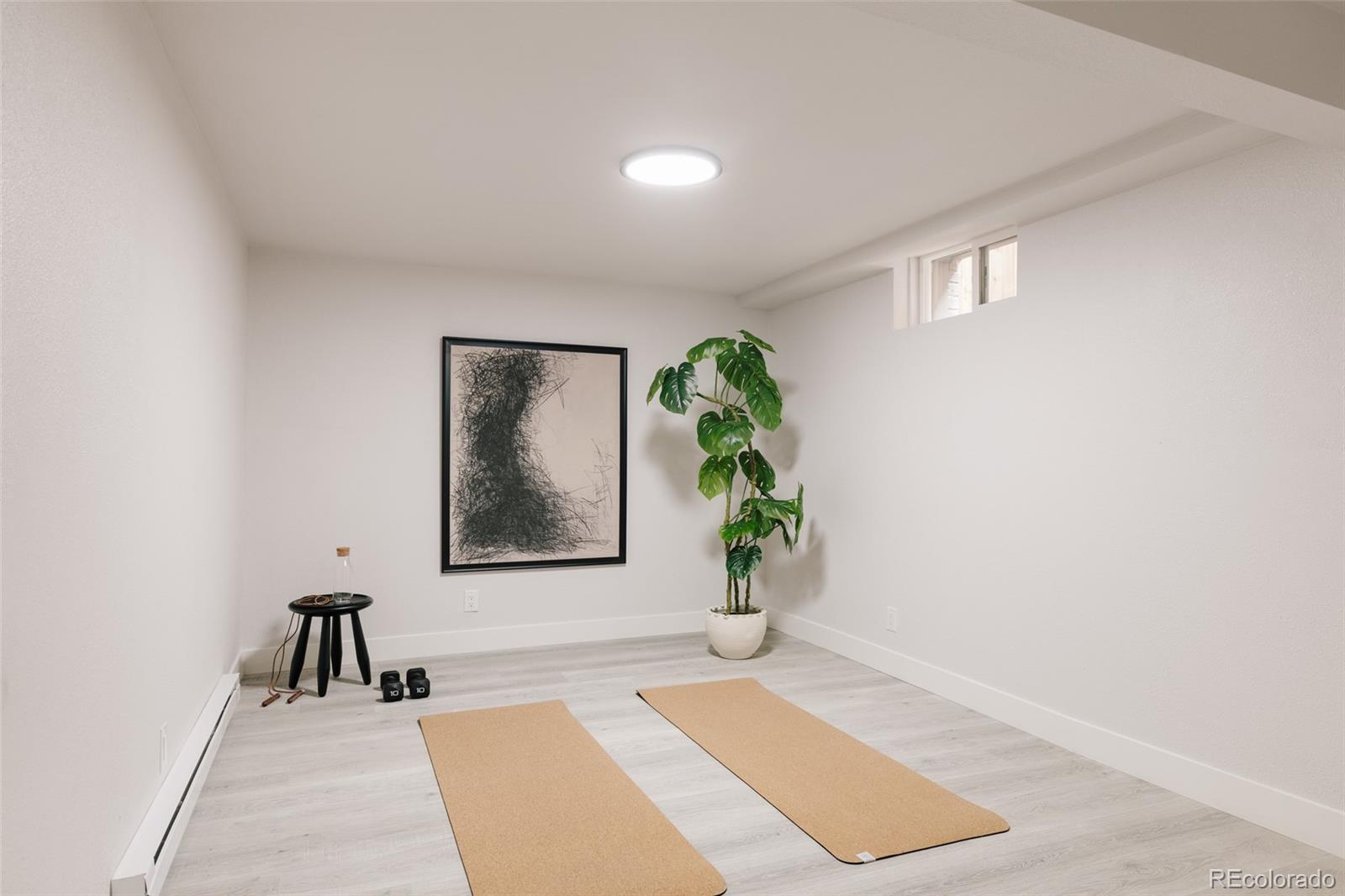 MLS Image #44 for 245  albion street,denver, Colorado