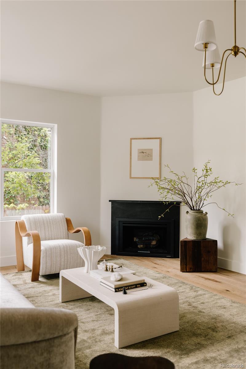 MLS Image #5 for 245  albion street,denver, Colorado