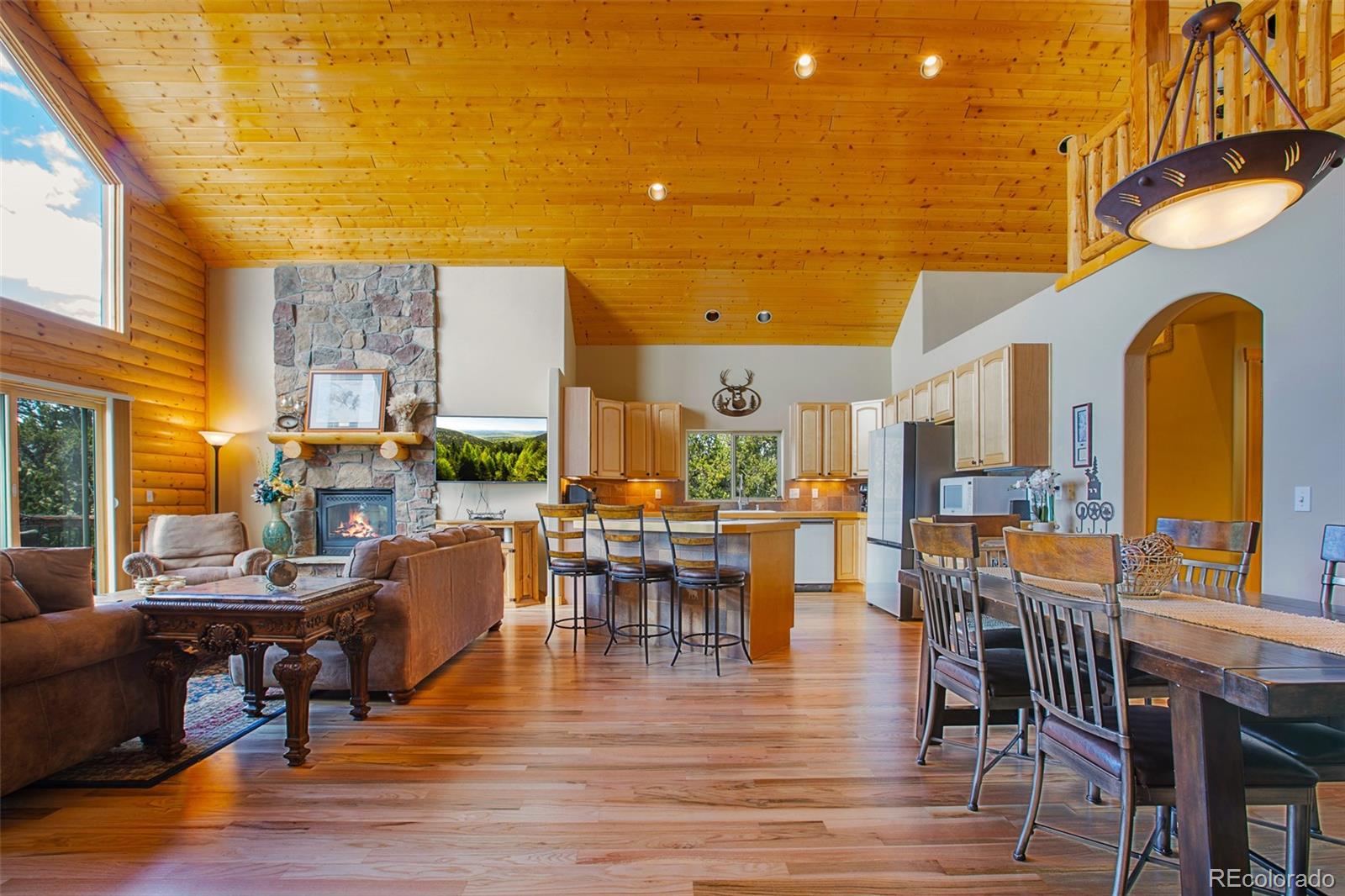 MLS Image #1 for 2649  coil drive,fairplay, Colorado