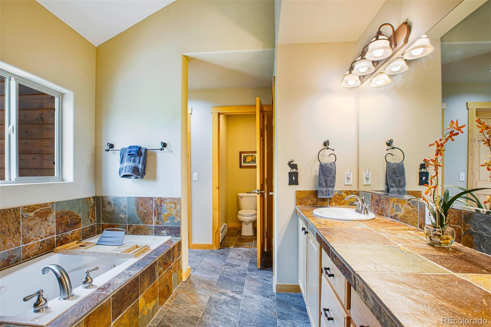 MLS Image #11 for 2649  coil drive,fairplay, Colorado