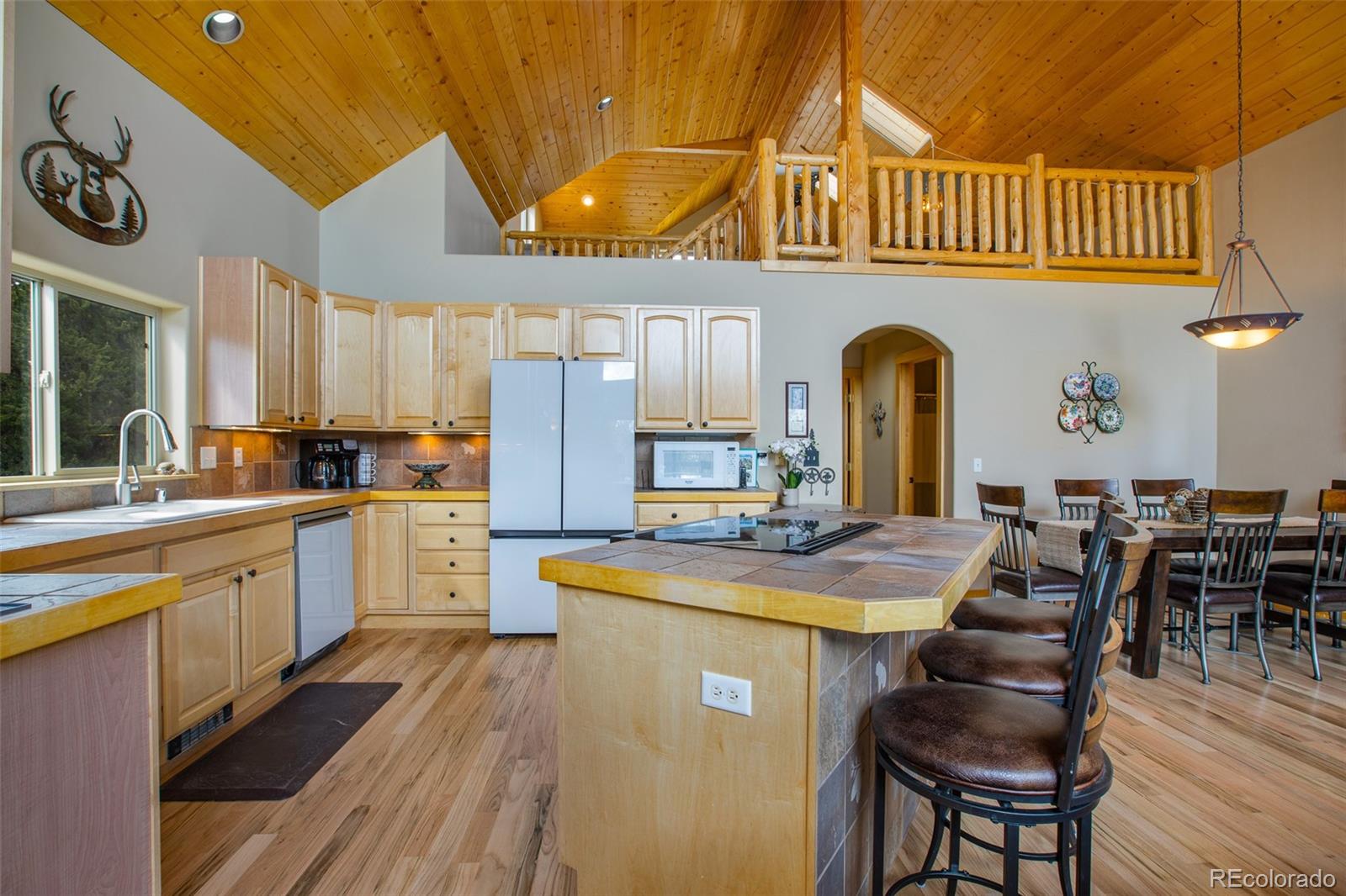 MLS Image #13 for 2649  coil drive,fairplay, Colorado