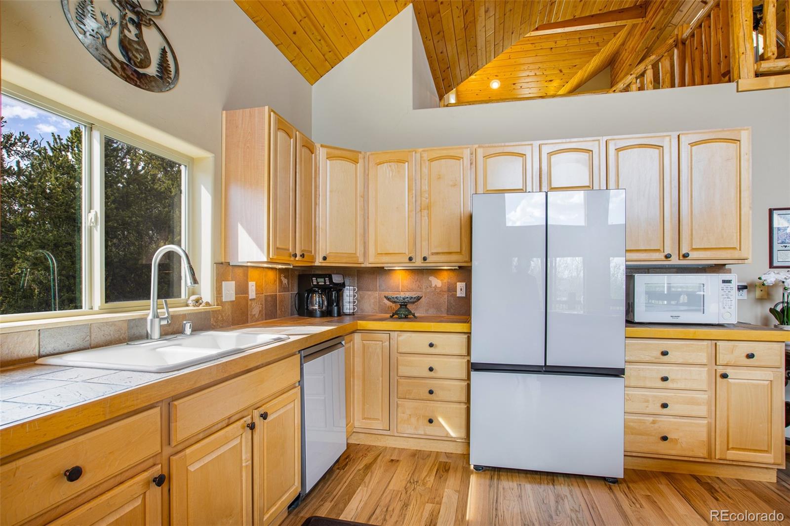 MLS Image #14 for 2649  coil drive,fairplay, Colorado