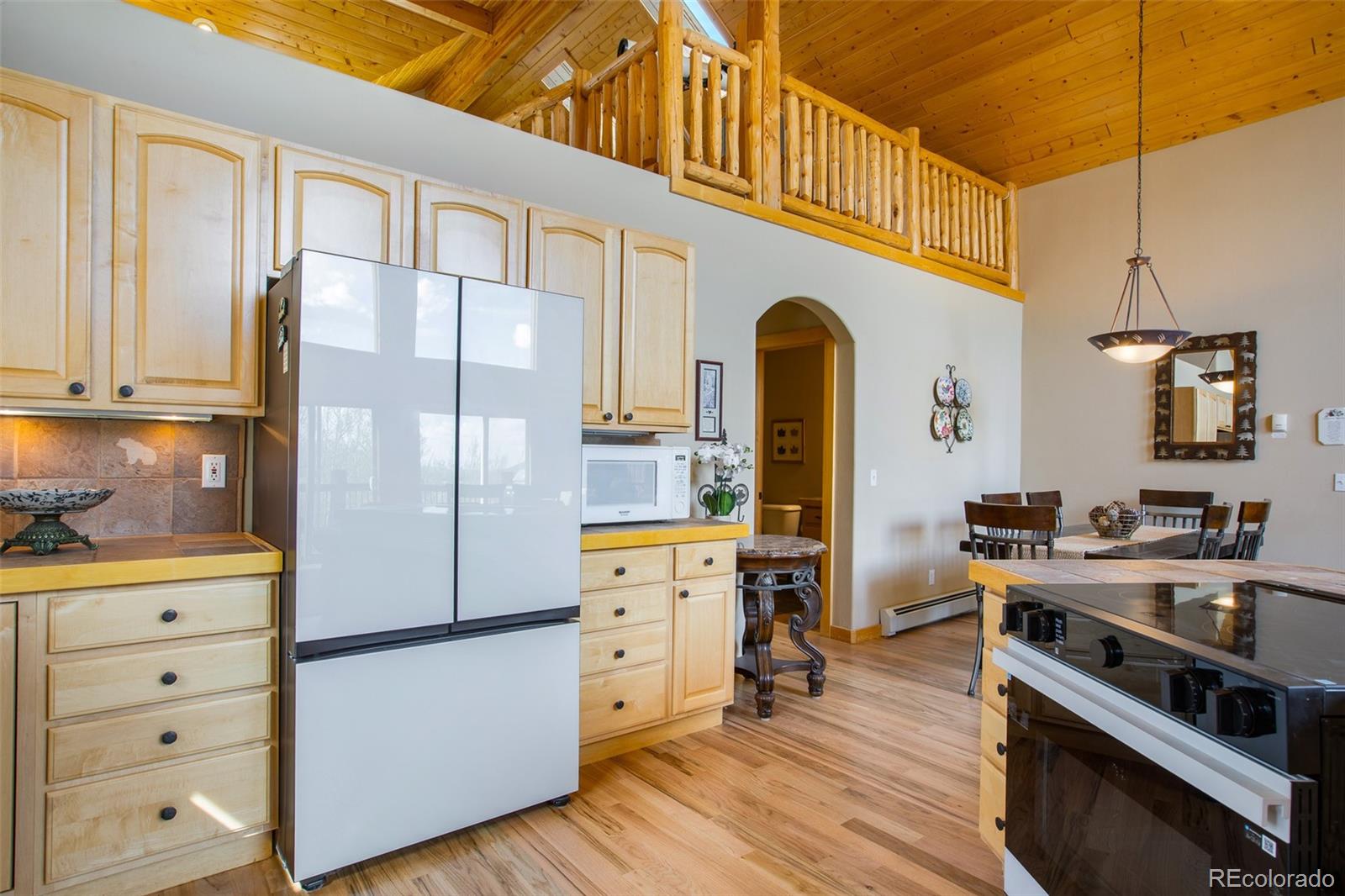 MLS Image #15 for 2649  coil drive,fairplay, Colorado