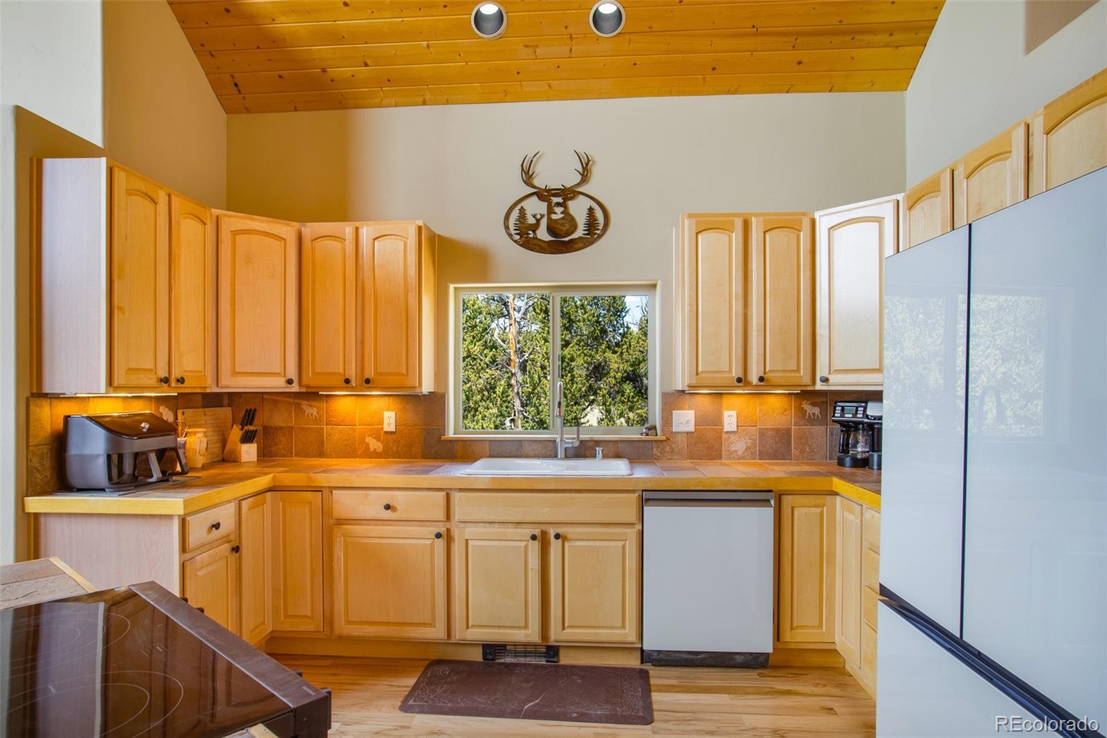 MLS Image #16 for 2649  coil drive,fairplay, Colorado