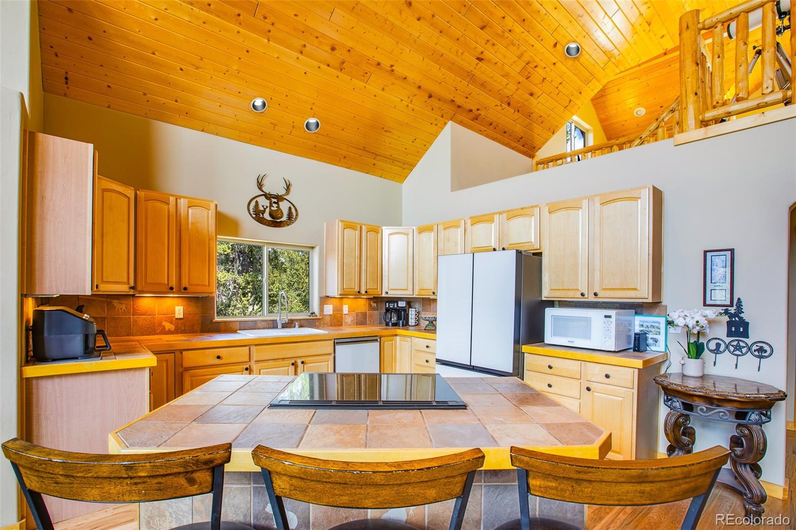 MLS Image #19 for 2649  coil drive,fairplay, Colorado
