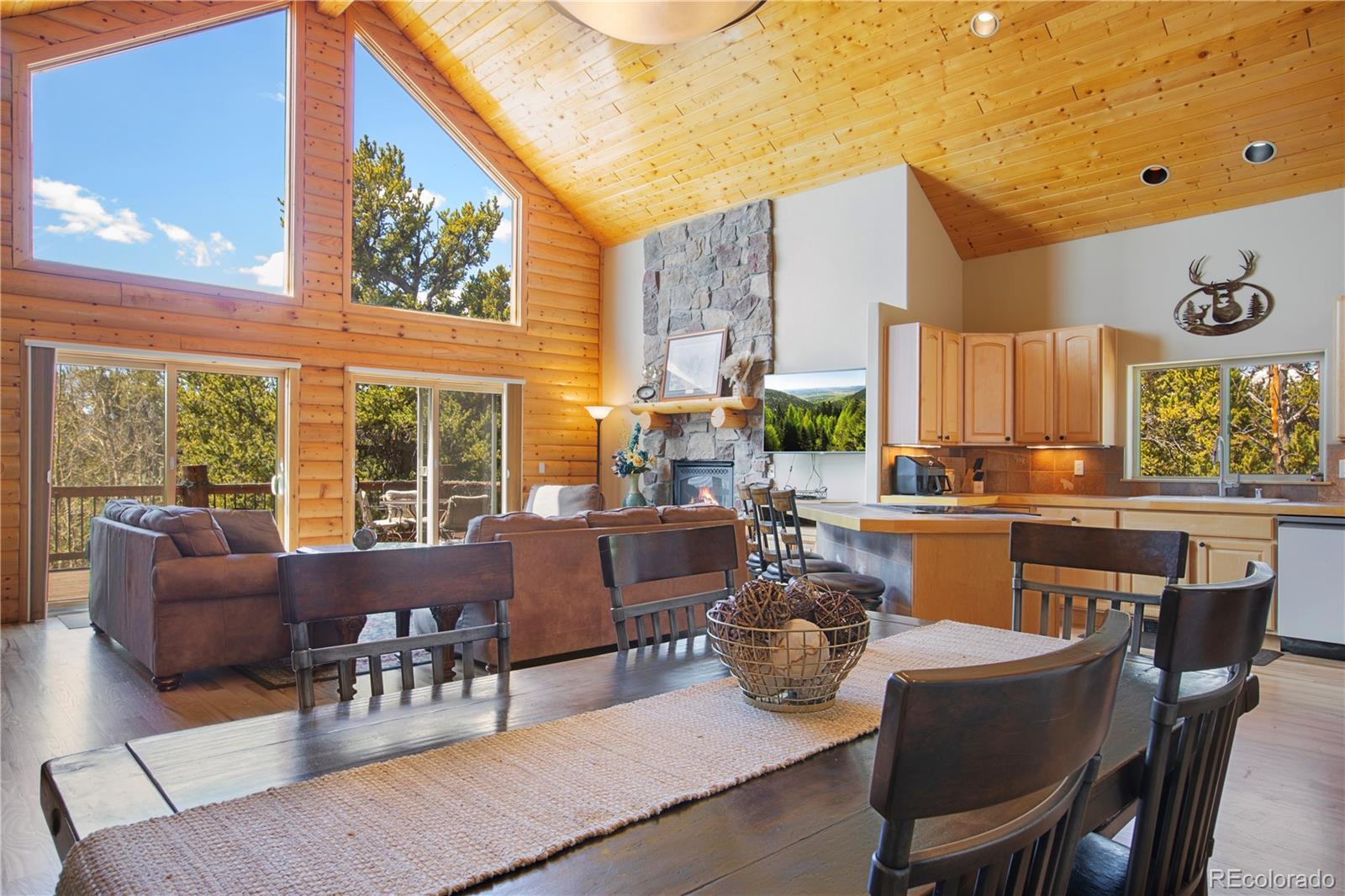 MLS Image #2 for 2649  coil drive,fairplay, Colorado