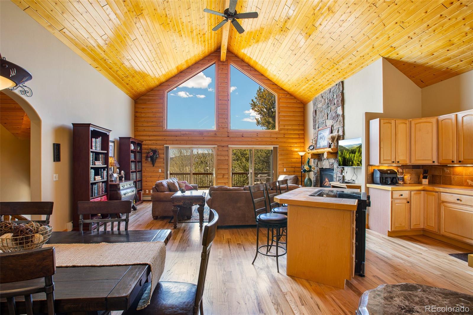 MLS Image #20 for 2649  coil drive,fairplay, Colorado