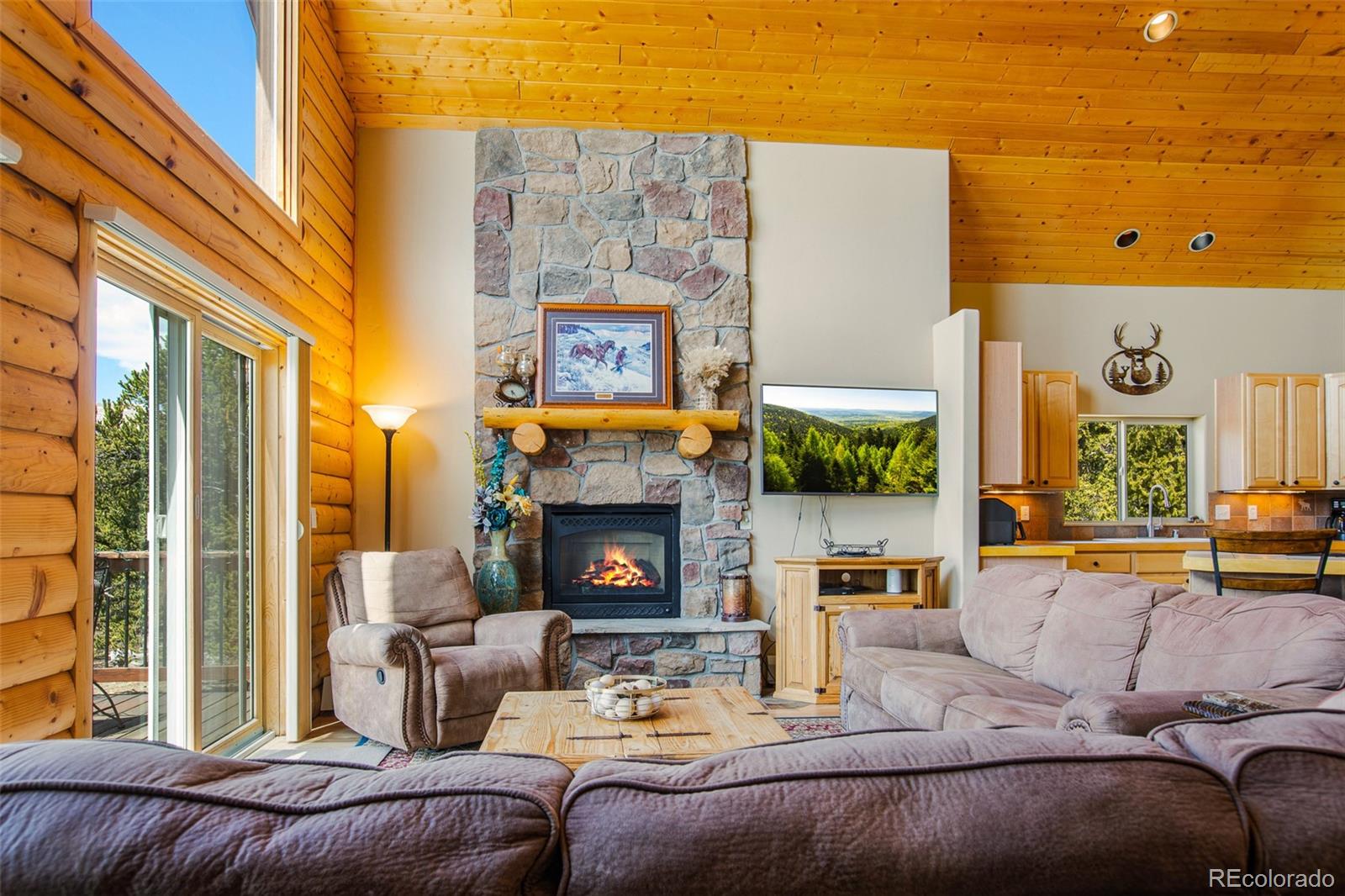 MLS Image #21 for 2649  coil drive,fairplay, Colorado