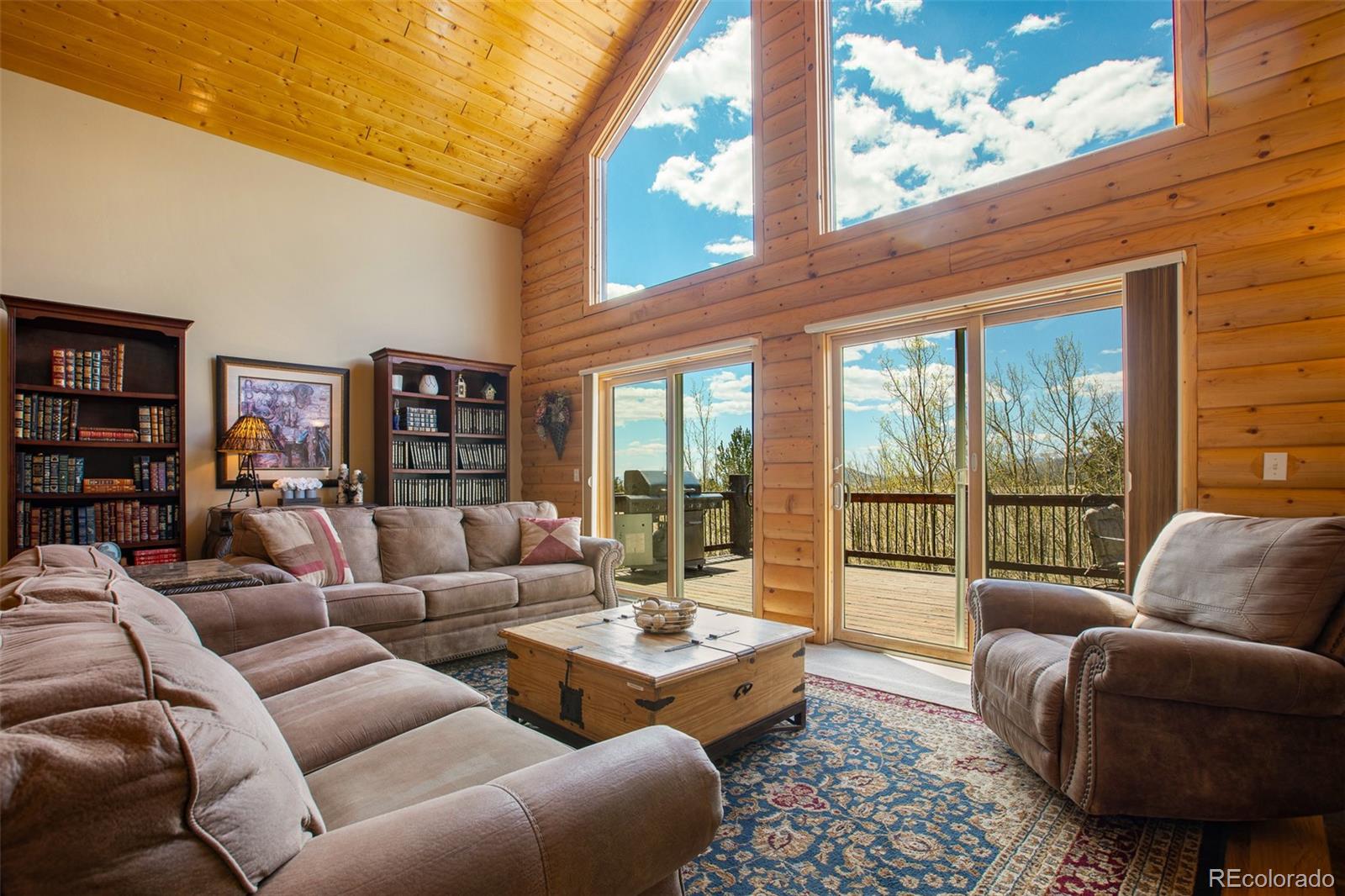 MLS Image #22 for 2649  coil drive,fairplay, Colorado
