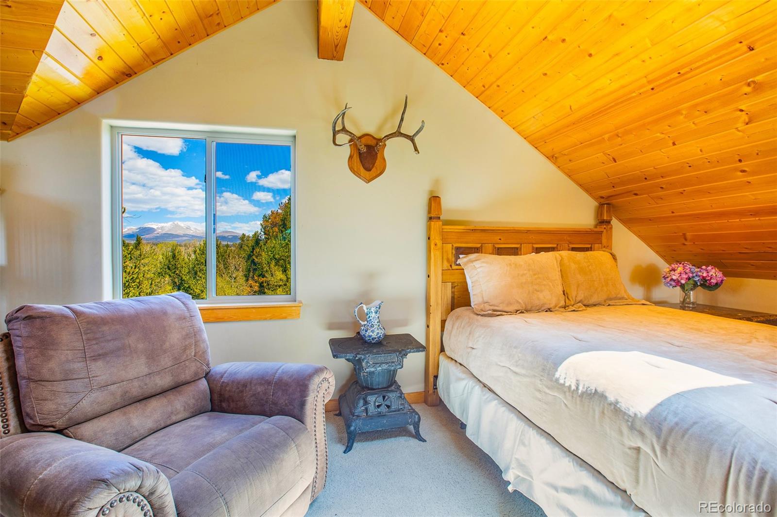MLS Image #27 for 2649  coil drive,fairplay, Colorado
