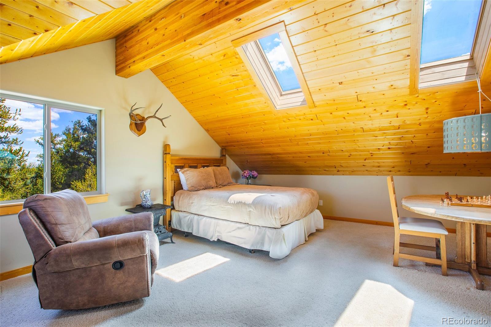 MLS Image #28 for 2649  coil drive,fairplay, Colorado