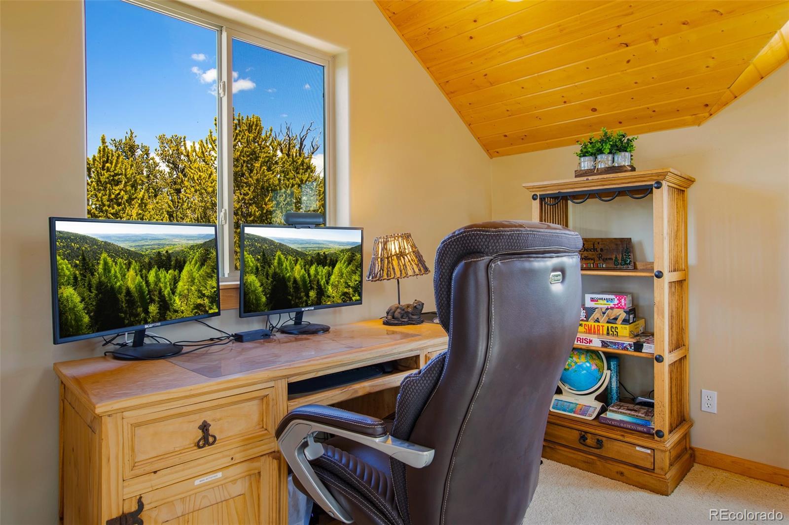 MLS Image #29 for 2649  coil drive,fairplay, Colorado