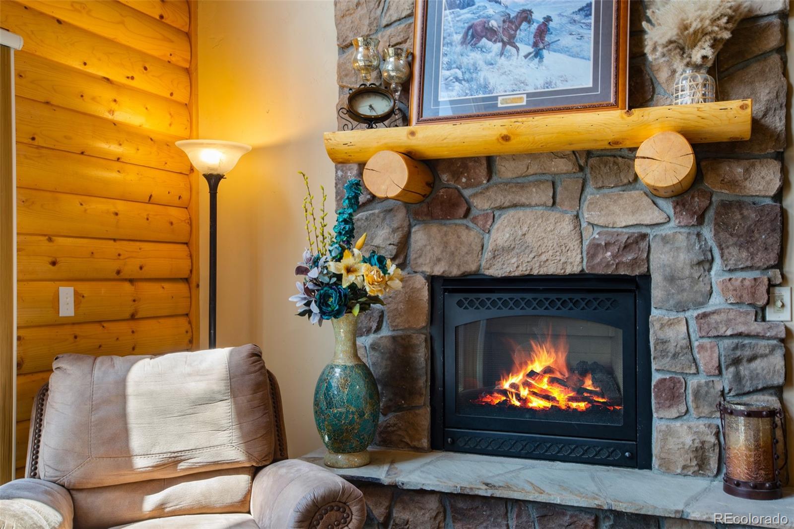 MLS Image #3 for 2649  coil drive,fairplay, Colorado