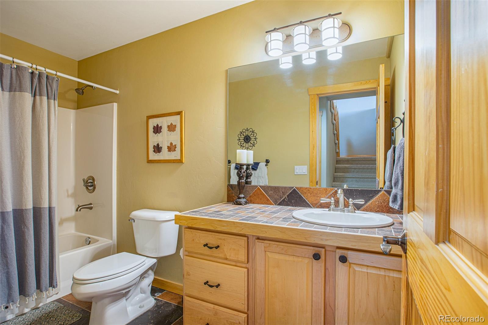 MLS Image #30 for 2649  coil drive,fairplay, Colorado