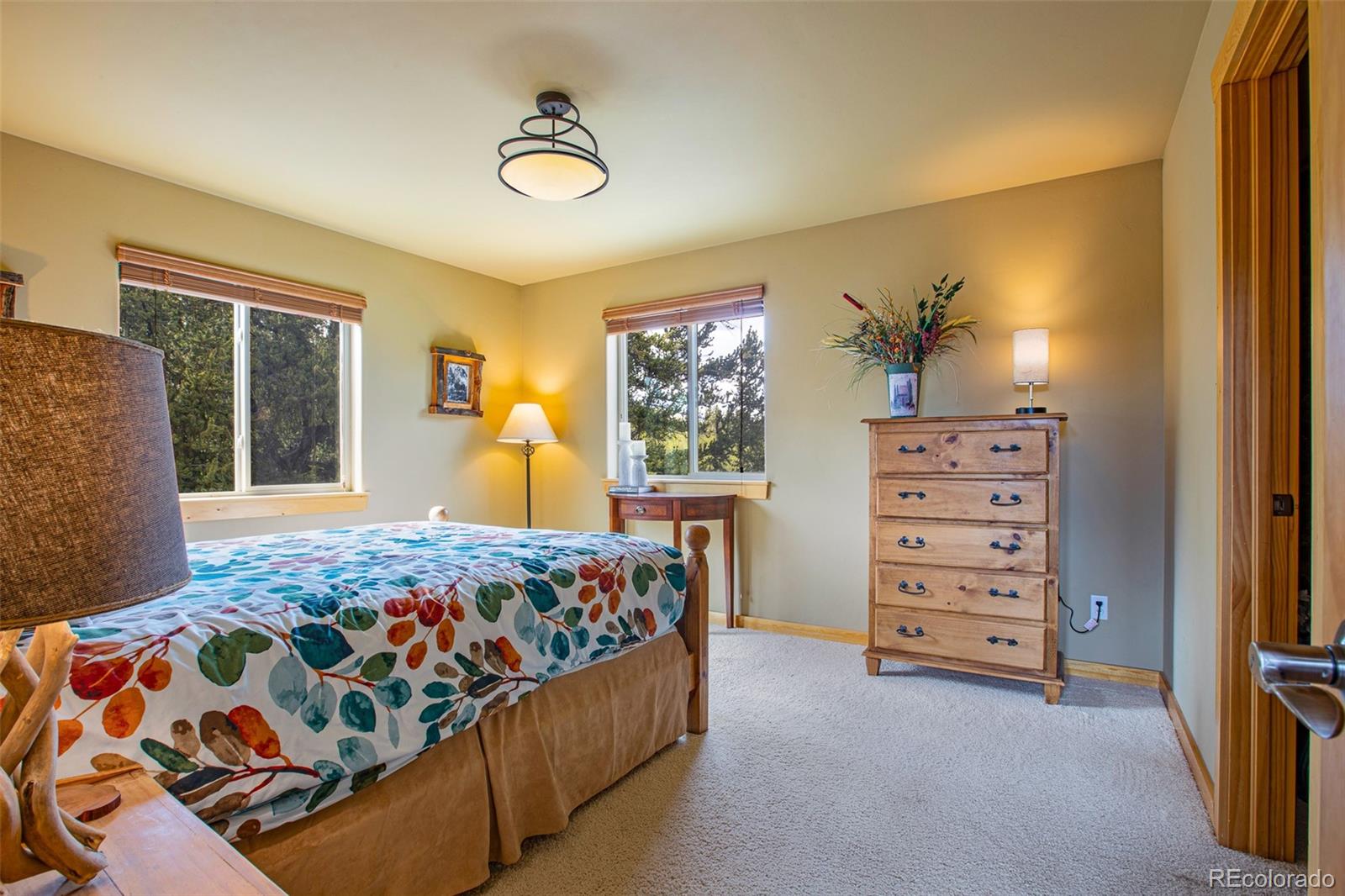 MLS Image #31 for 2649  coil drive,fairplay, Colorado