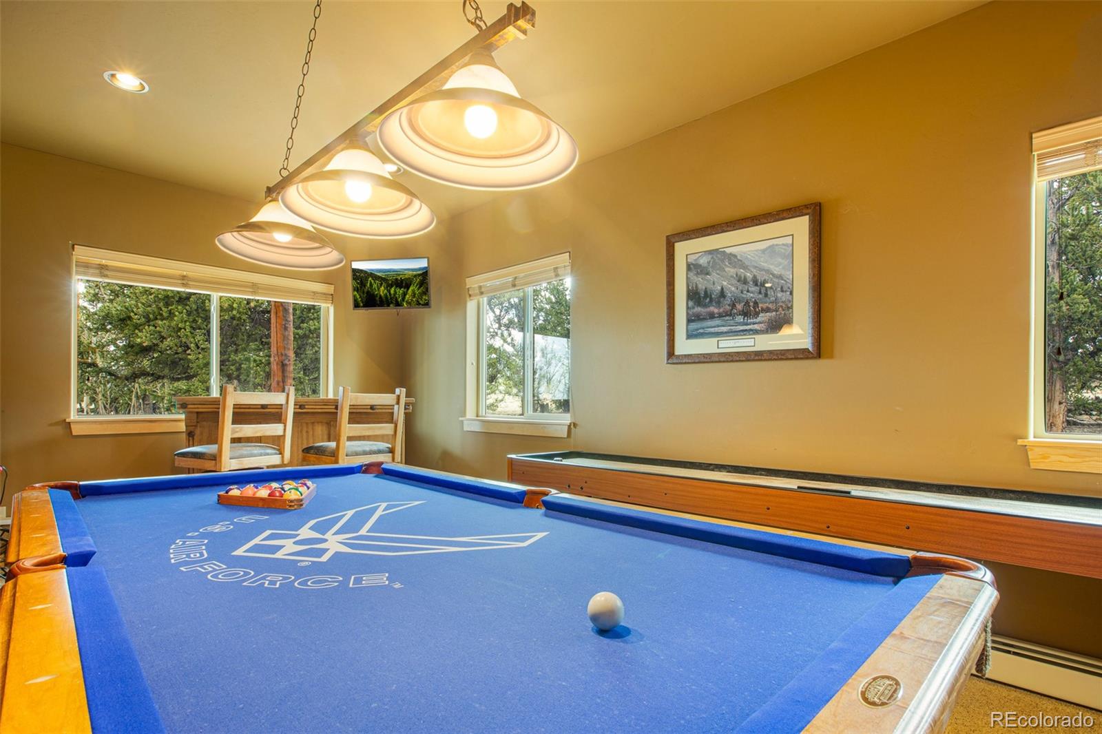 MLS Image #33 for 2649  coil drive,fairplay, Colorado