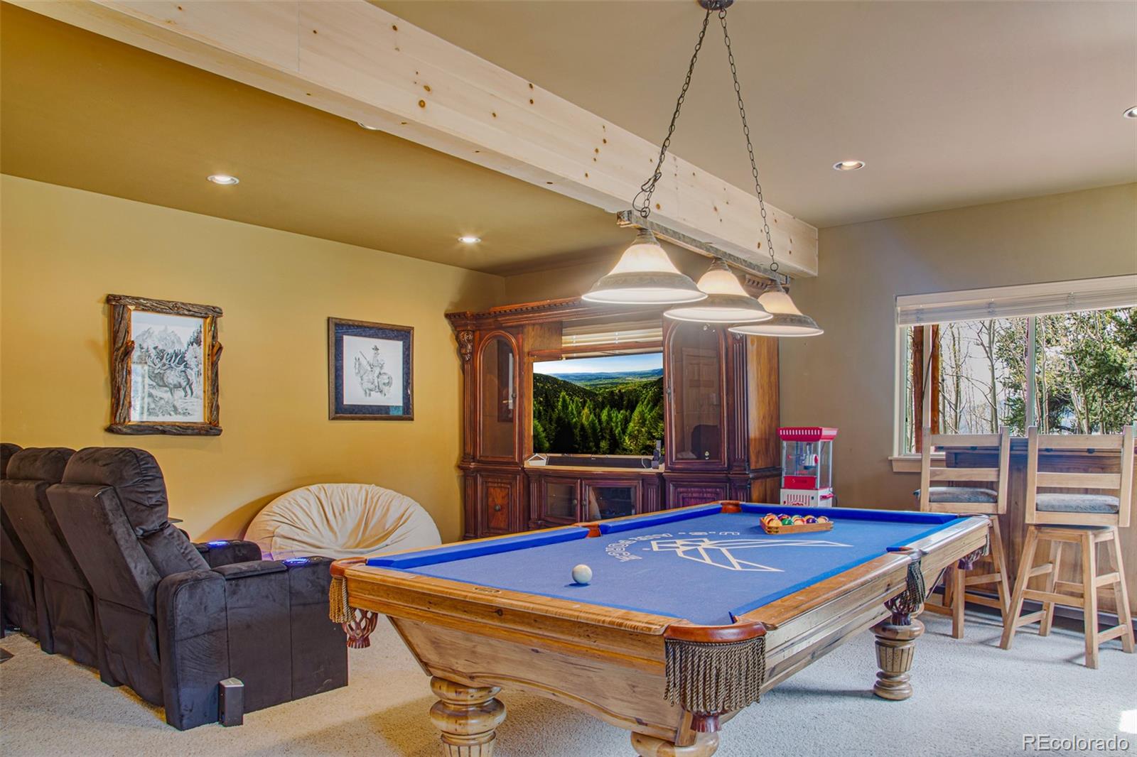 MLS Image #35 for 2649  coil drive,fairplay, Colorado
