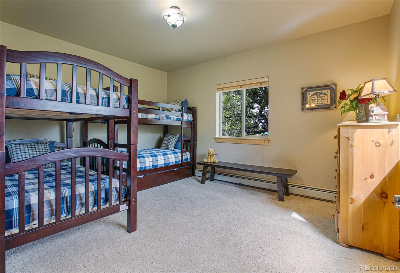 MLS Image #38 for 2649  coil drive,fairplay, Colorado