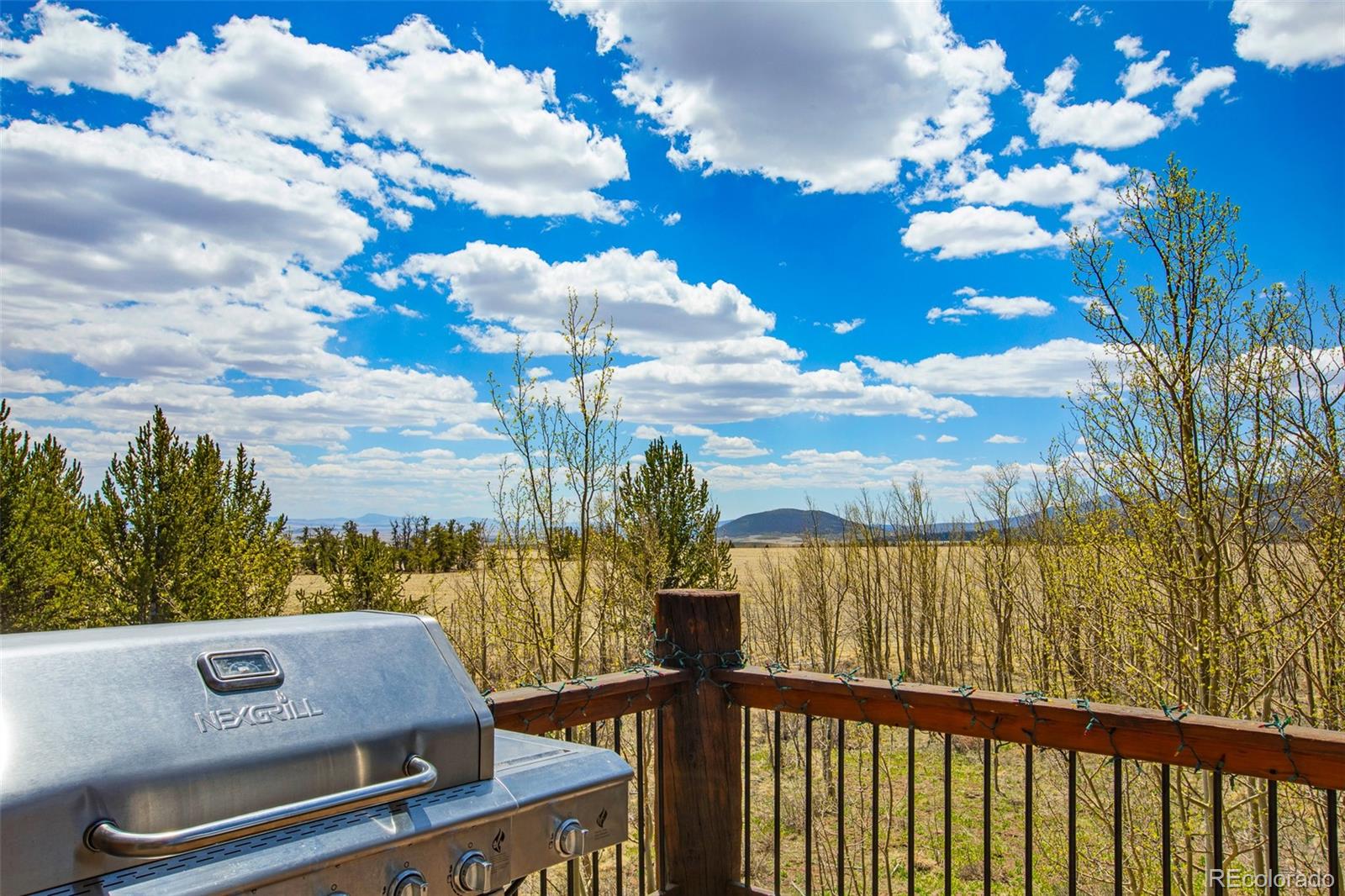 MLS Image #42 for 2649  coil drive,fairplay, Colorado