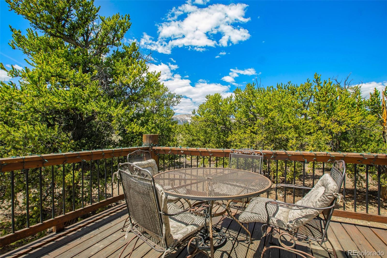 MLS Image #43 for 2649  coil drive,fairplay, Colorado