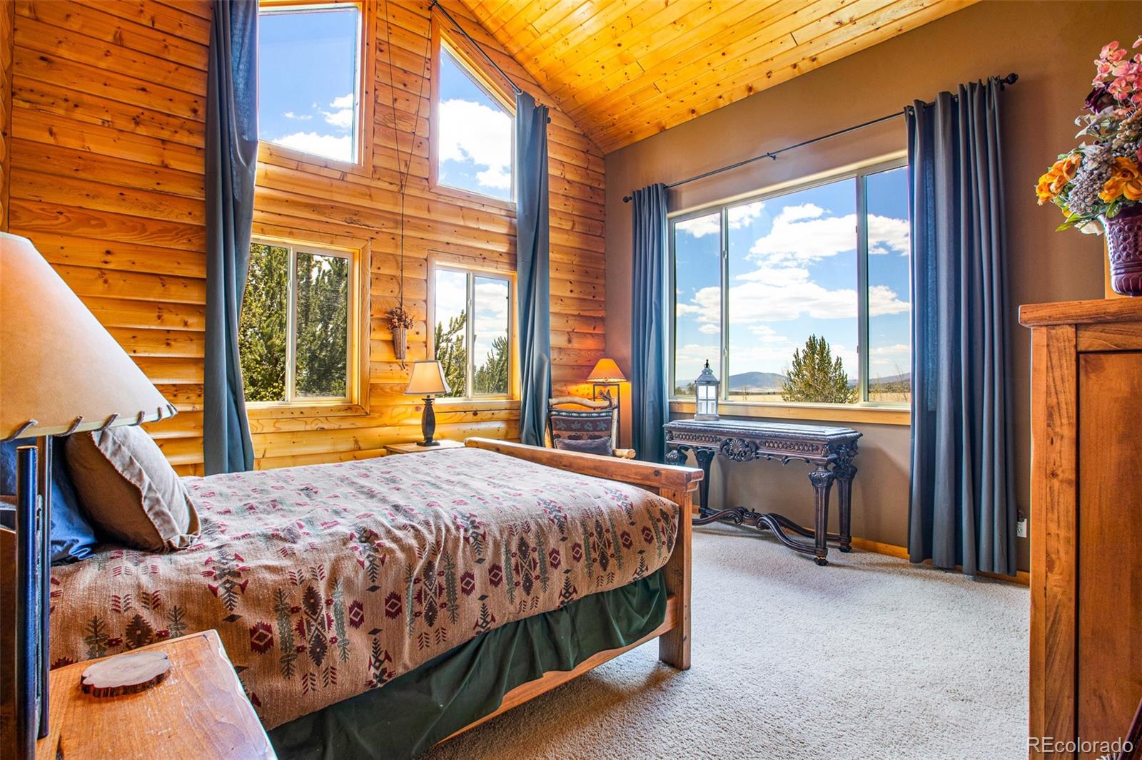 MLS Image #8 for 2649  coil drive,fairplay, Colorado