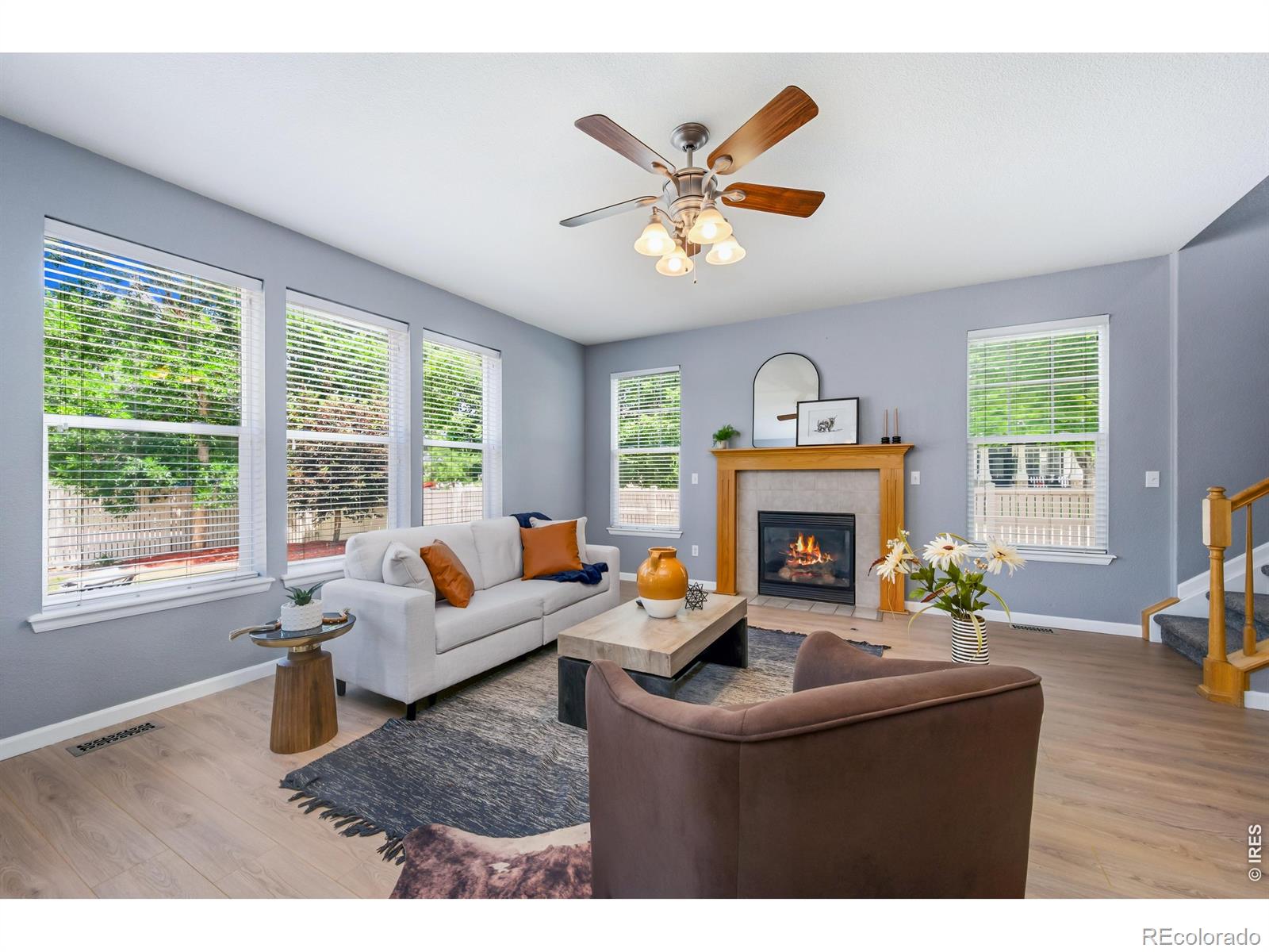 MLS Image #7 for 5781  twilight avenue,longmont, Colorado