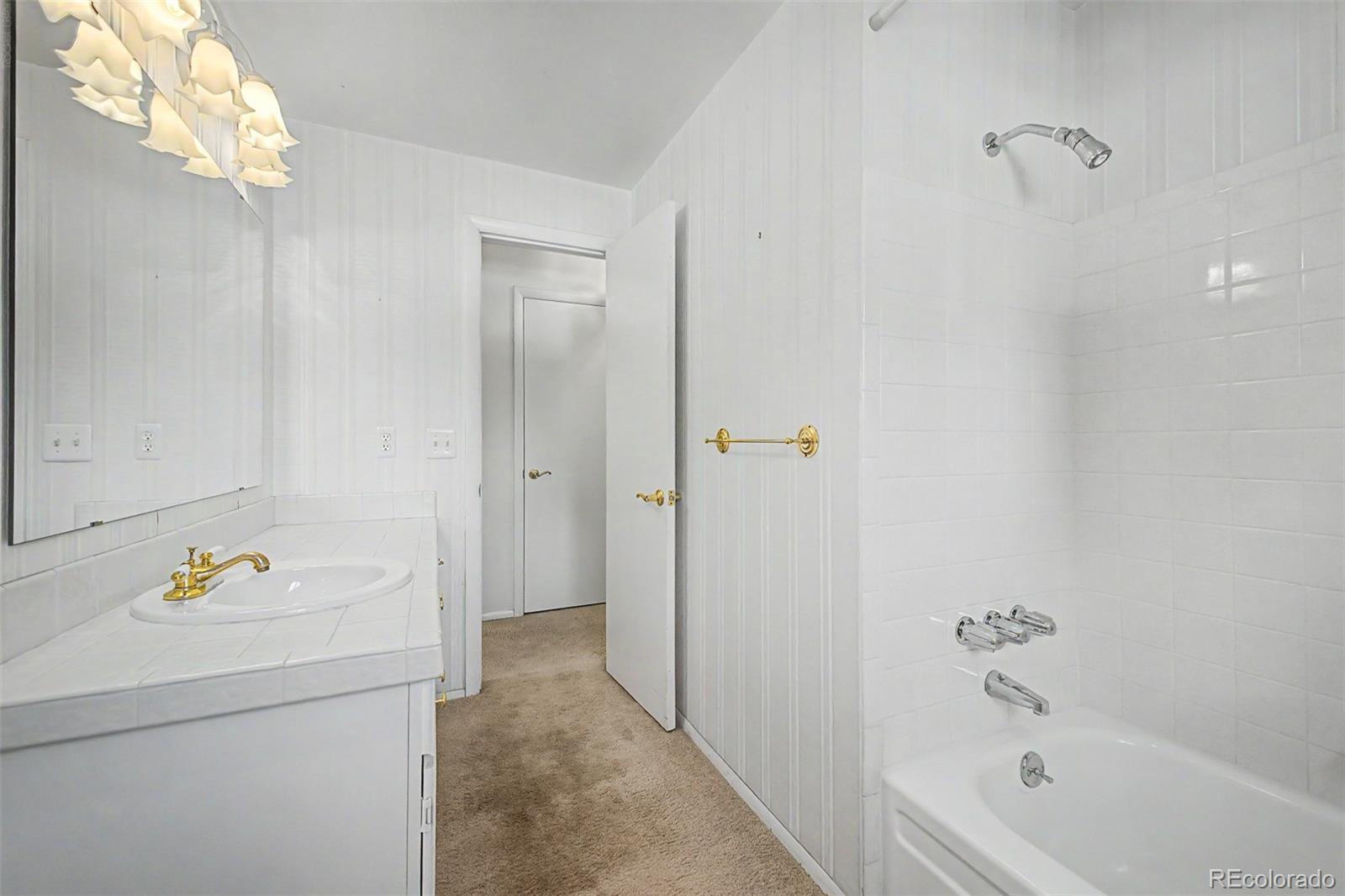MLS Image #18 for 3762 s benton way,denver, Colorado