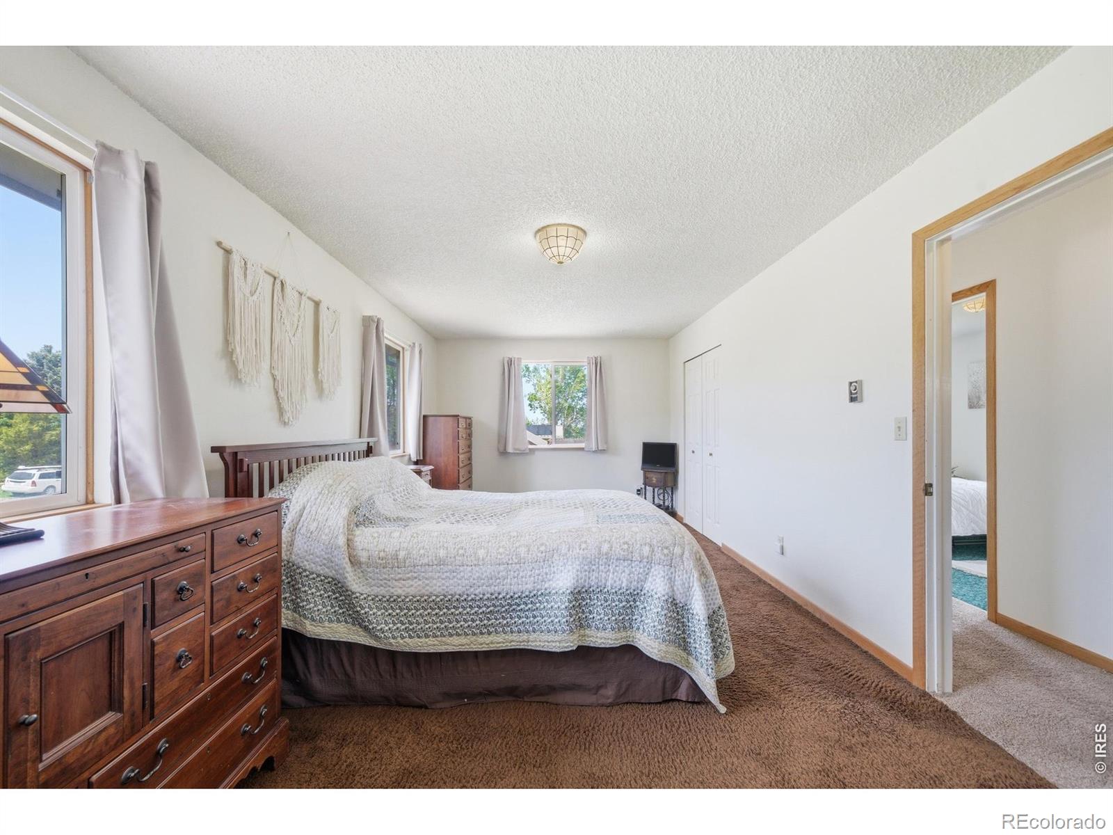 MLS Image #14 for 804  redwood court,bellvue, Colorado