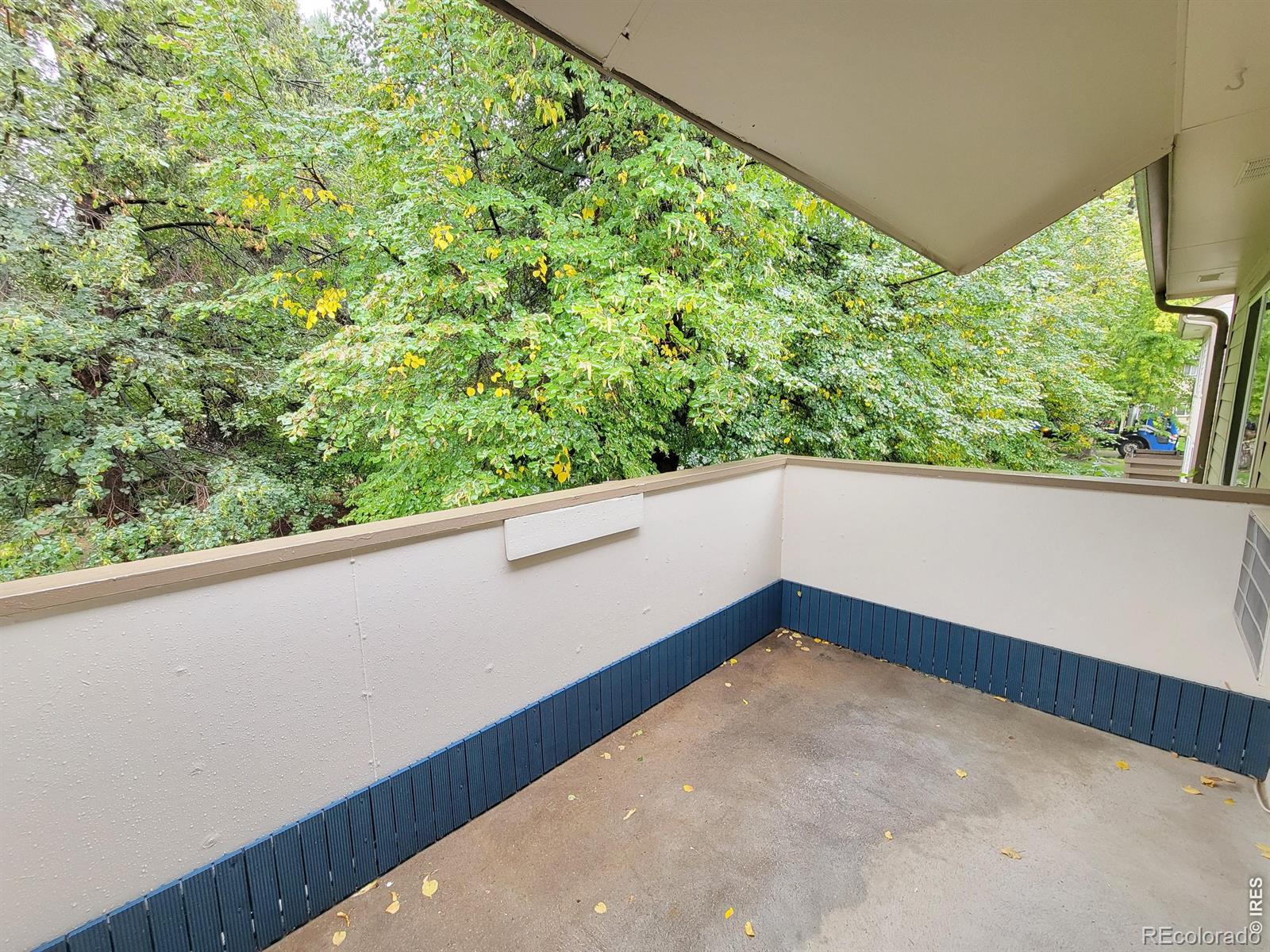 MLS Image #11 for 3465  lochwood drive,fort collins, Colorado