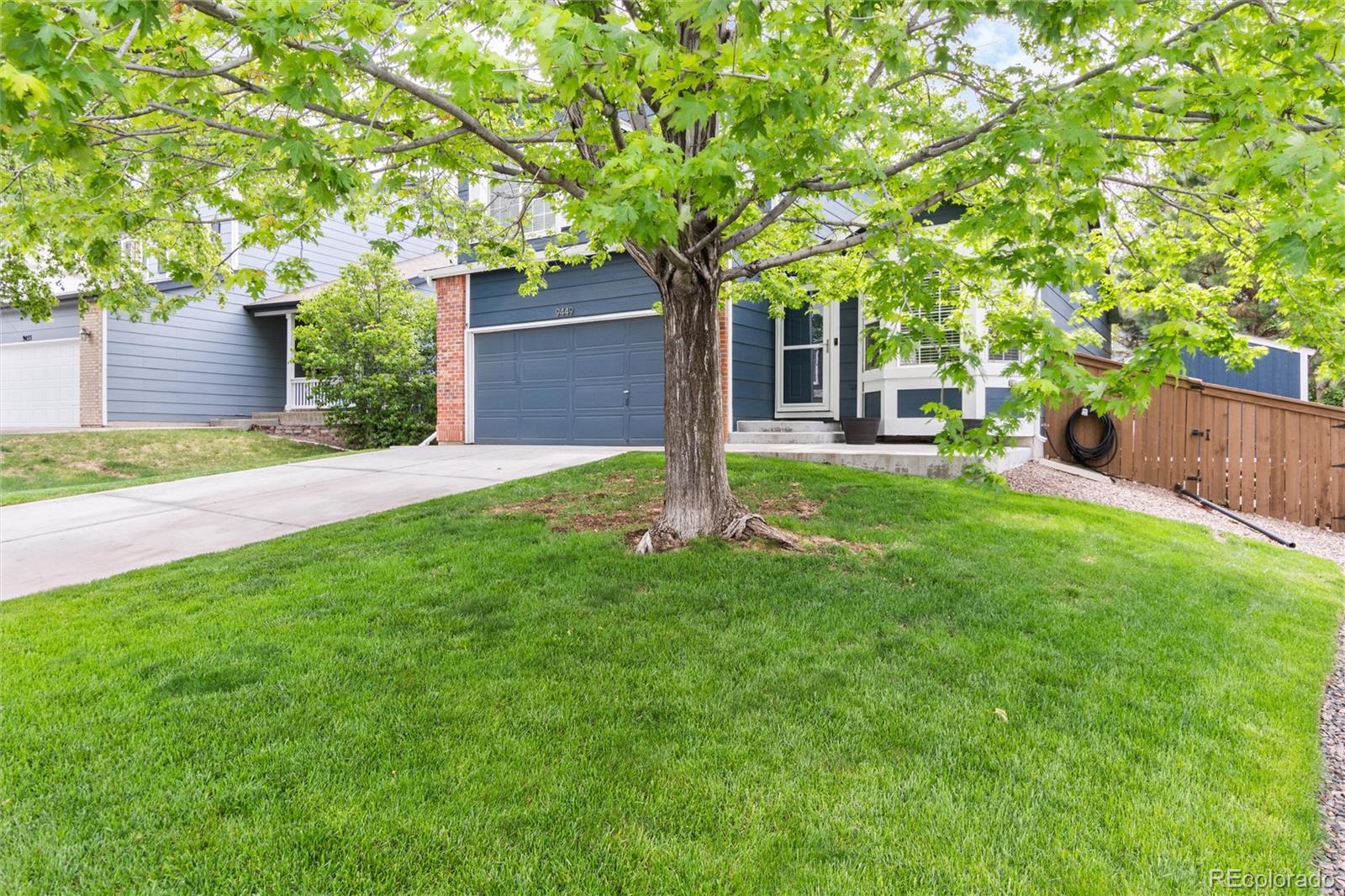 MLS Image #2 for 9449  cove creek drive,highlands ranch, Colorado