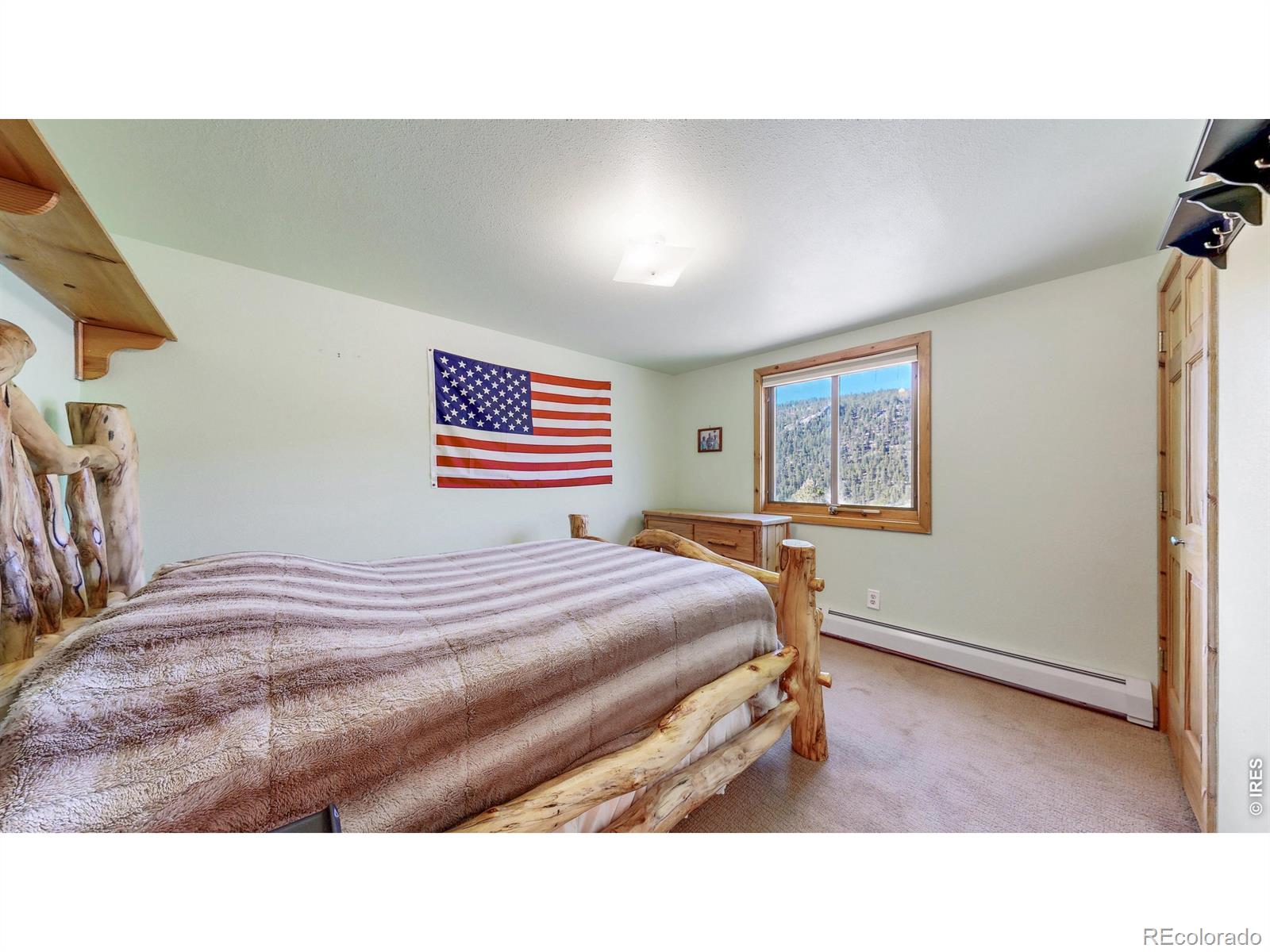 MLS Image #10 for 735  castle mountain road,estes park, Colorado