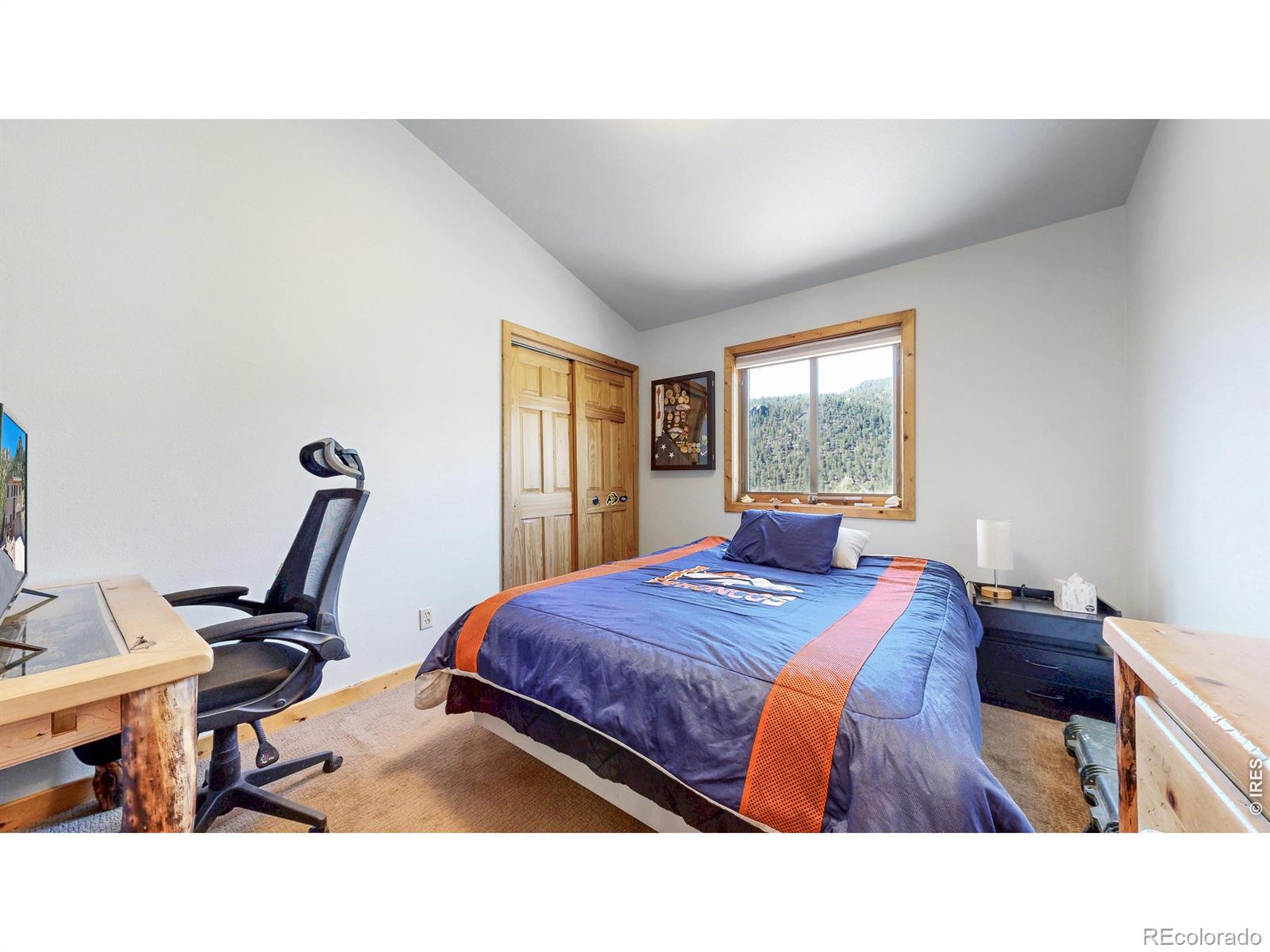 MLS Image #11 for 735  castle mountain road,estes park, Colorado