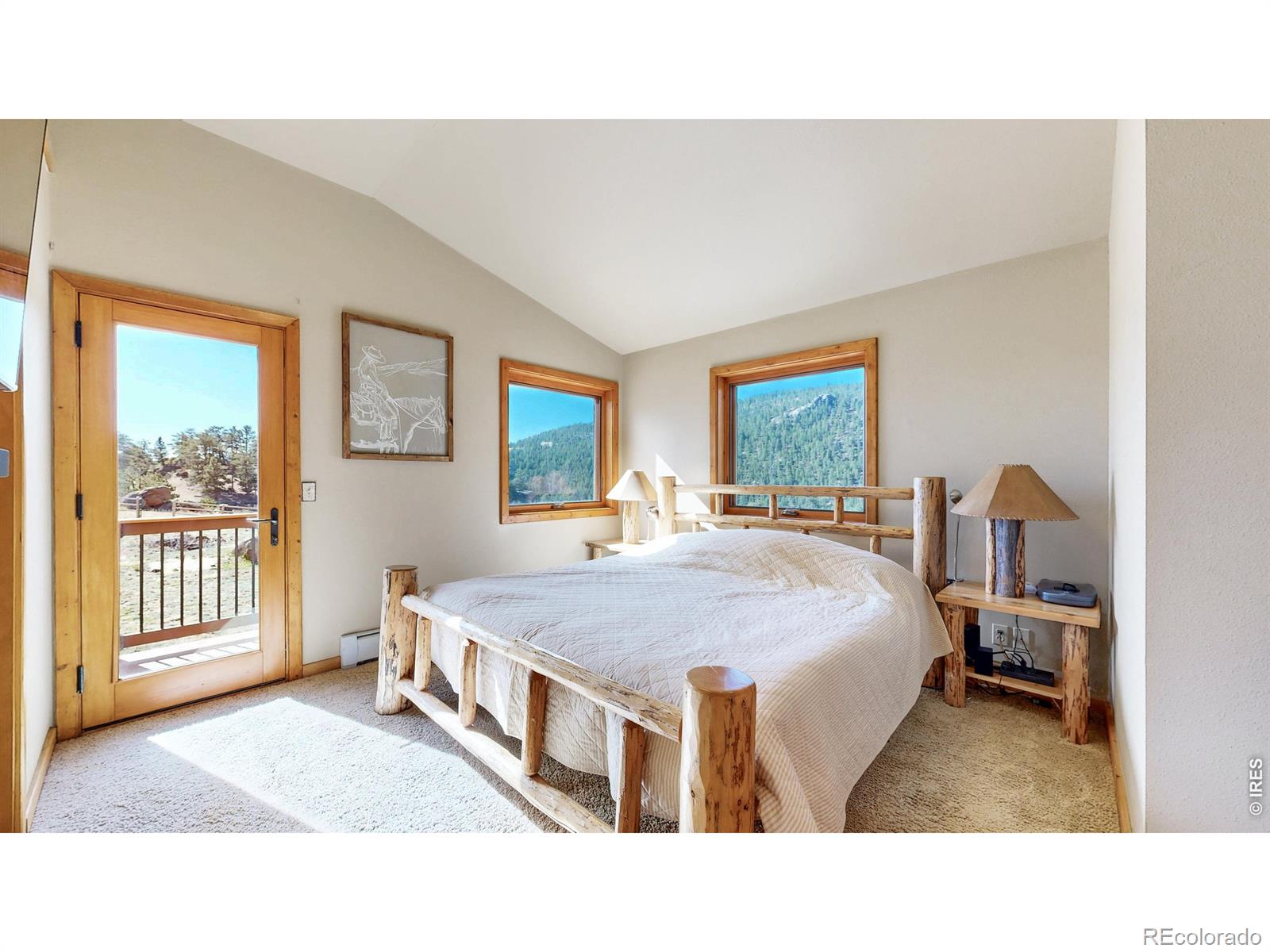 MLS Image #6 for 735  castle mountain road,estes park, Colorado