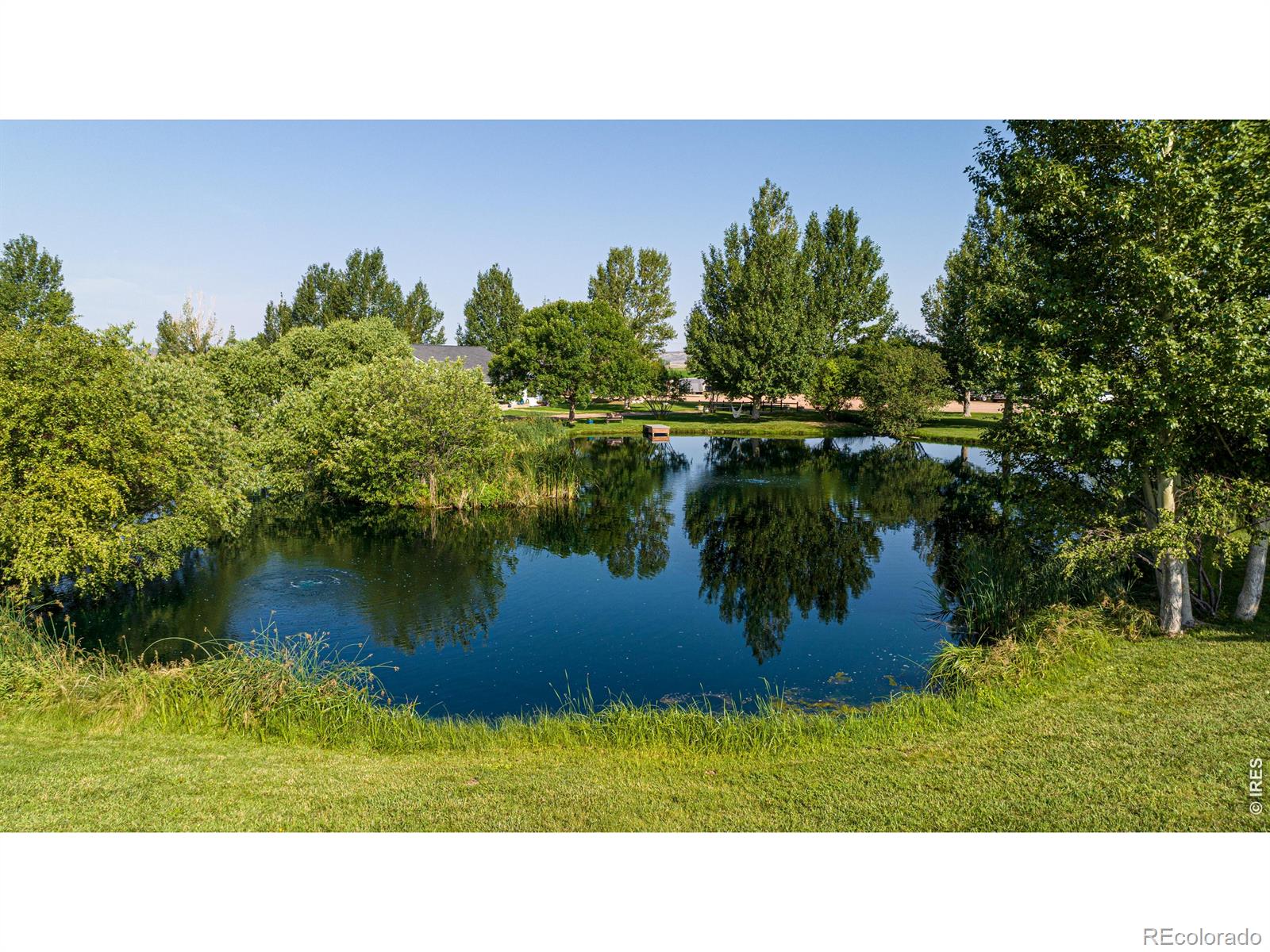 MLS Image #4 for 612 w county road 74 ,wellington, Colorado