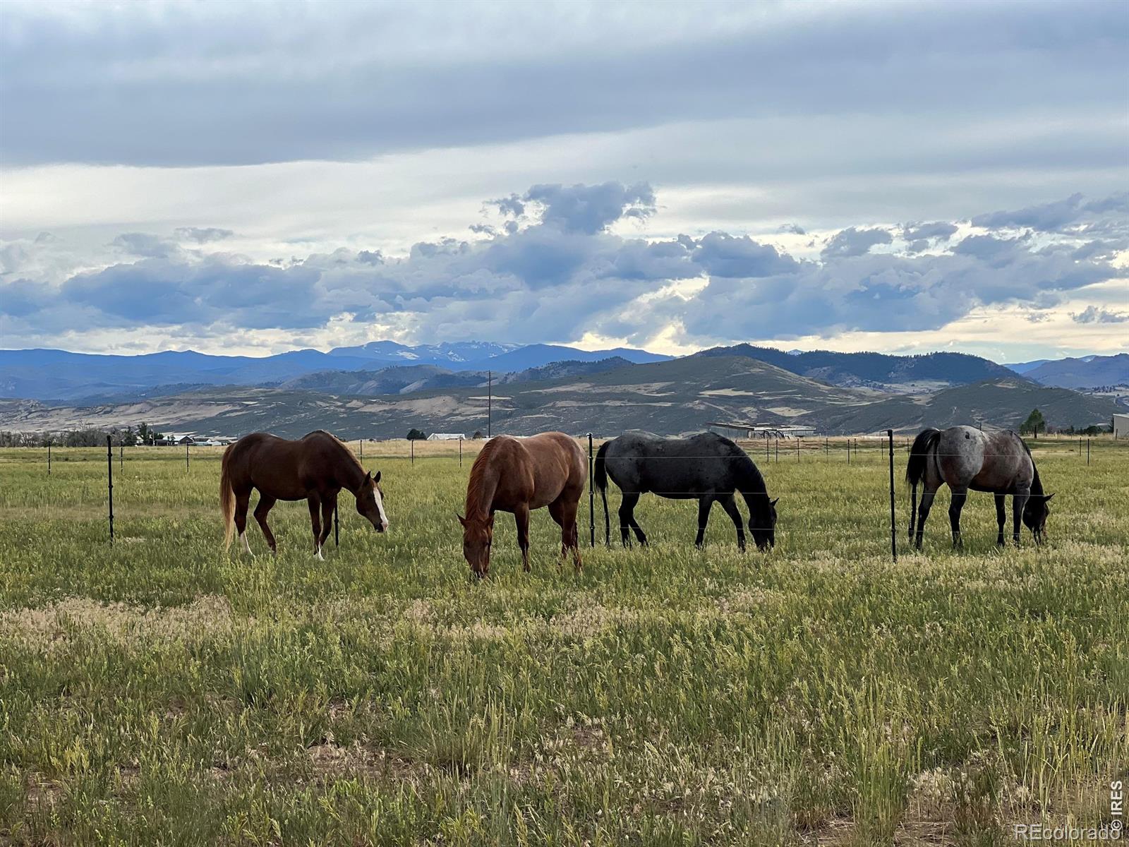 MLS Image #48 for 612 w county road 74 ,wellington, Colorado